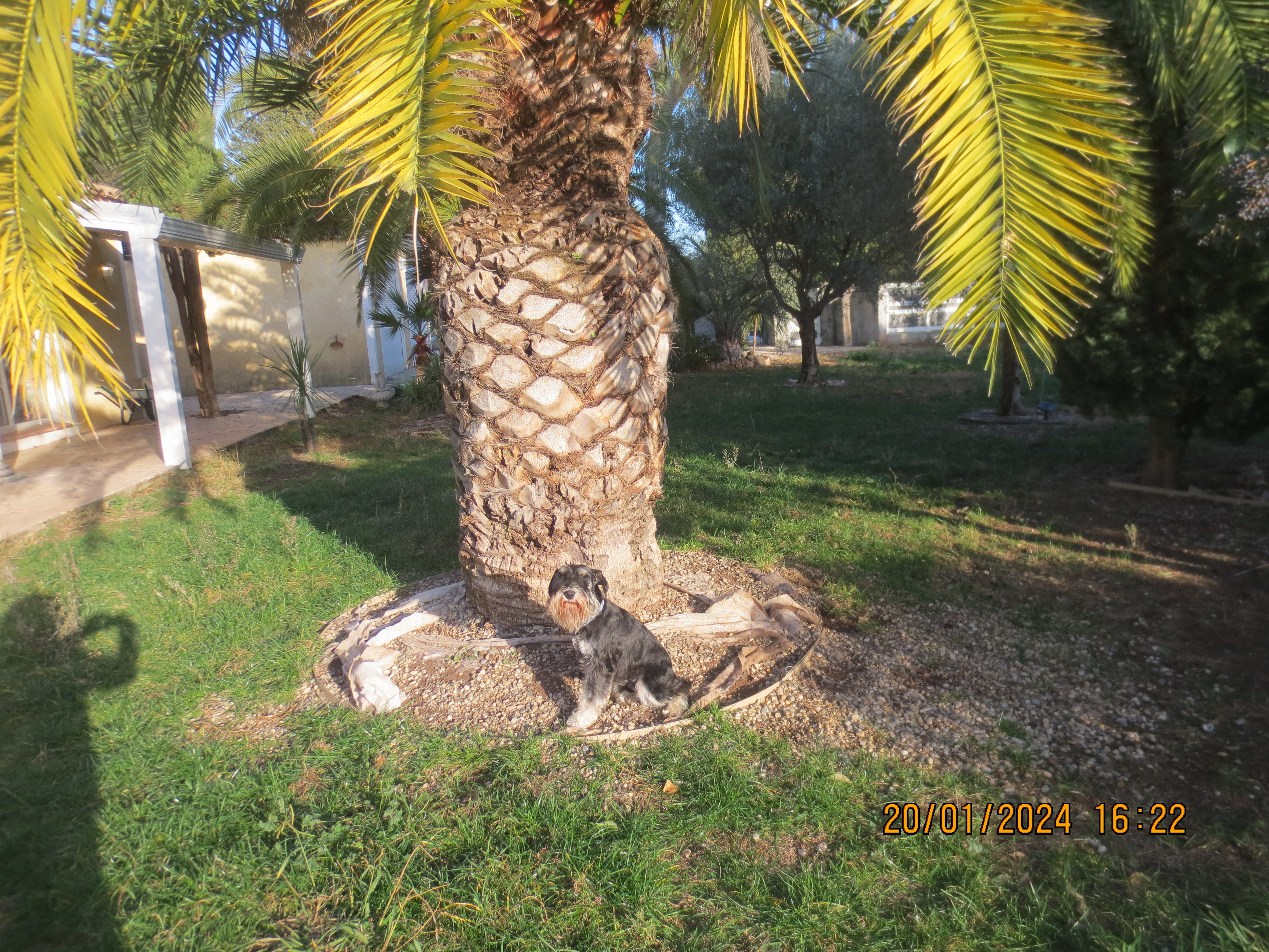 image-4