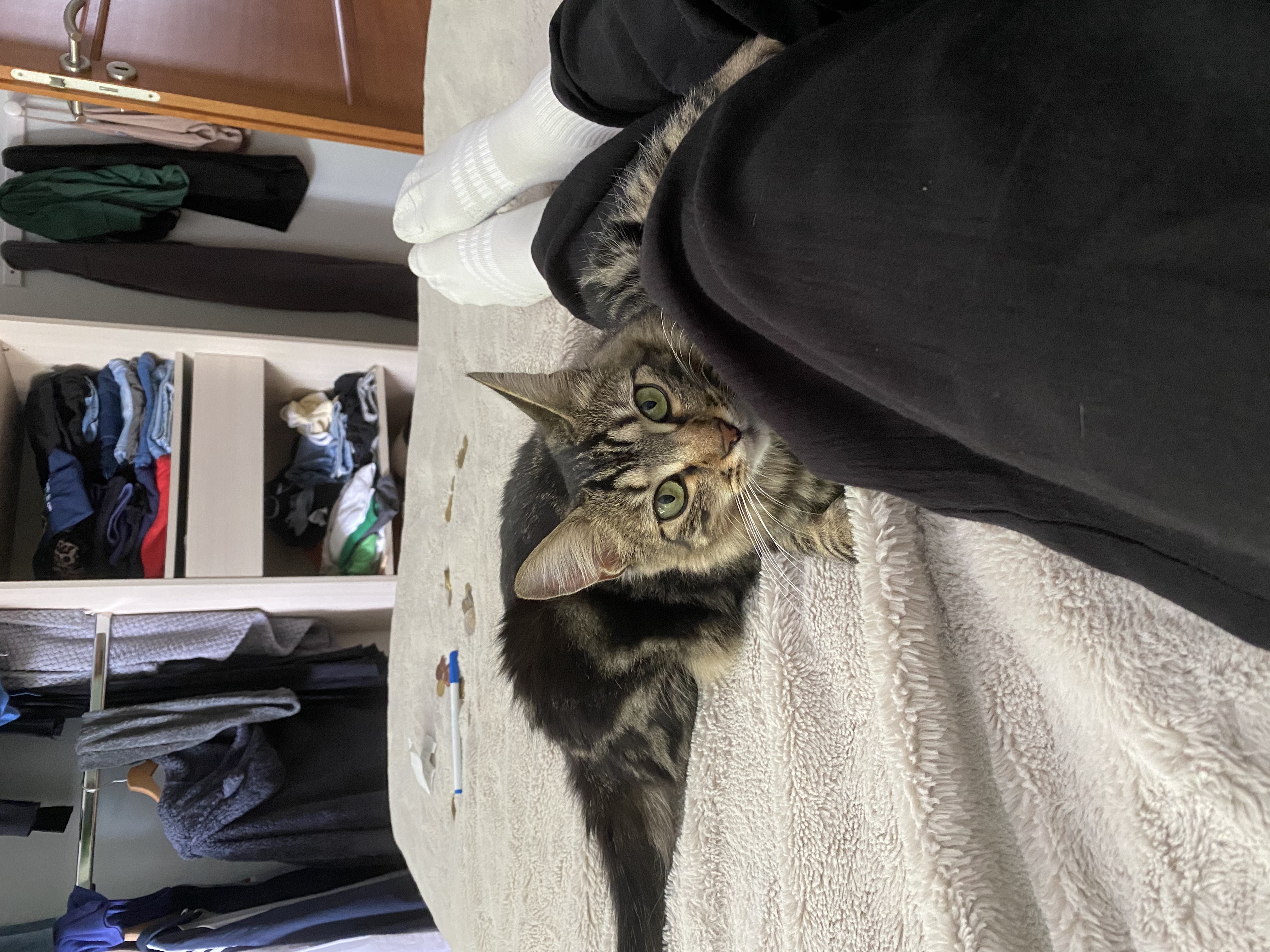 image-8