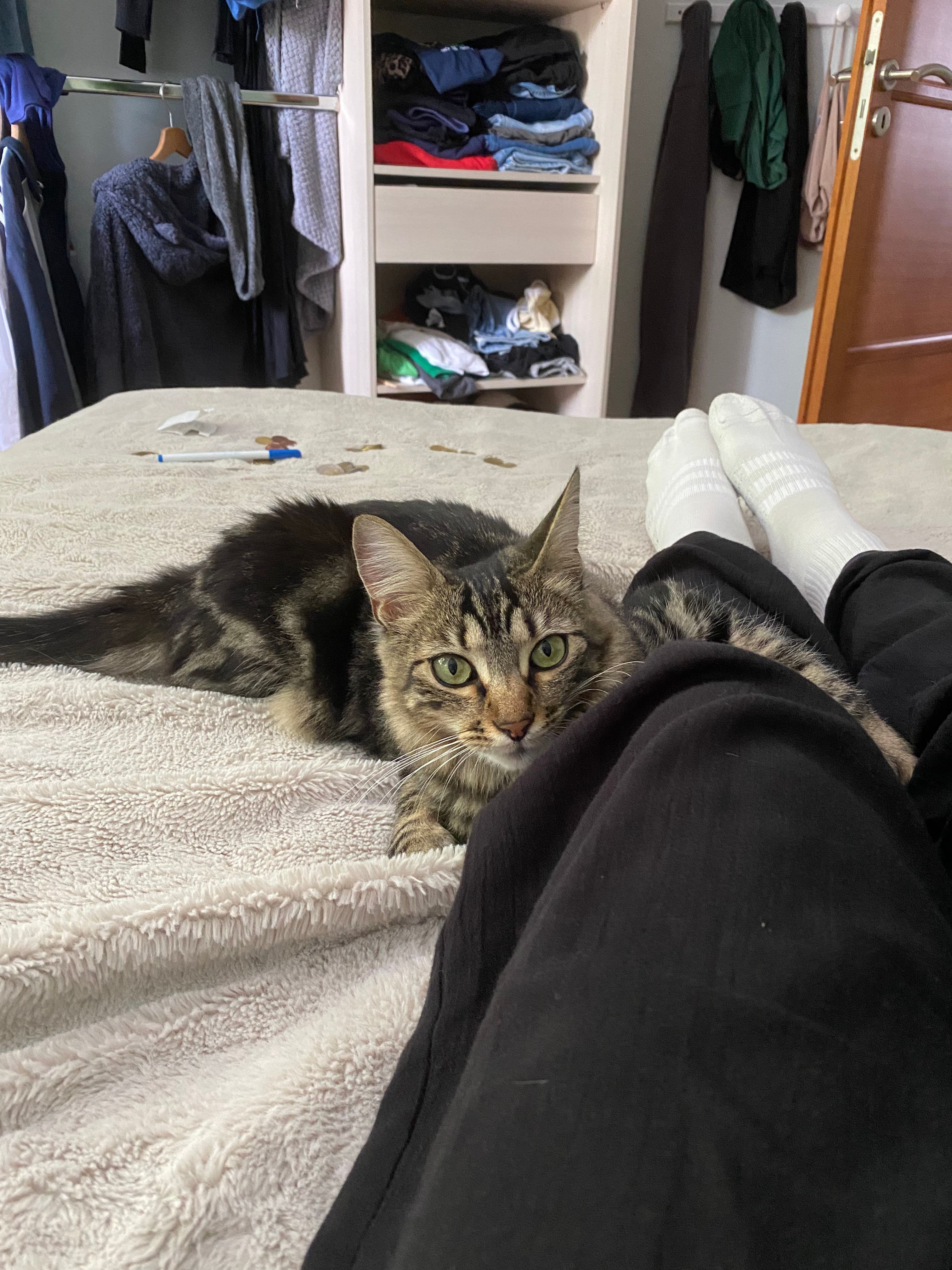 image-8
