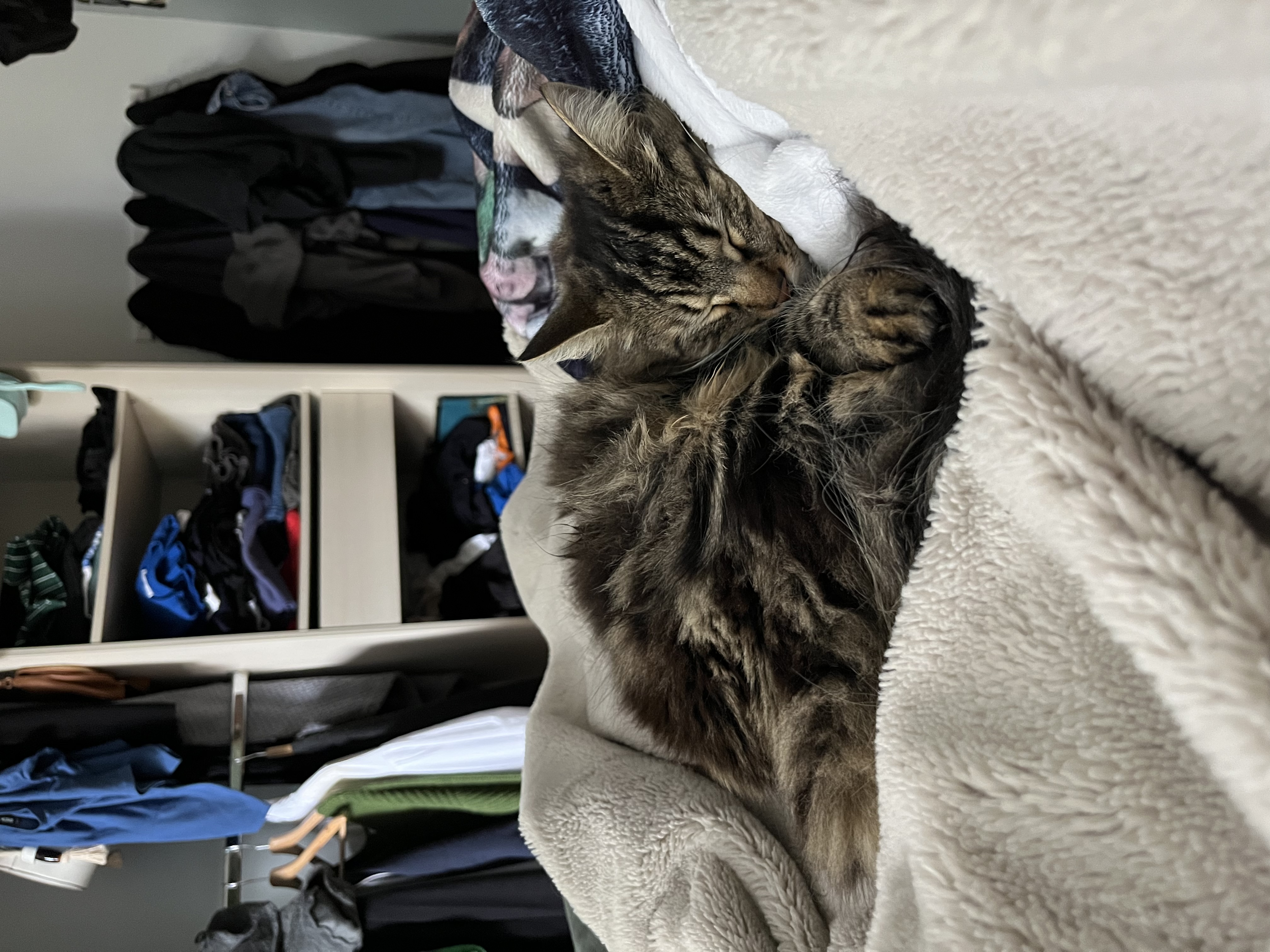 image-6