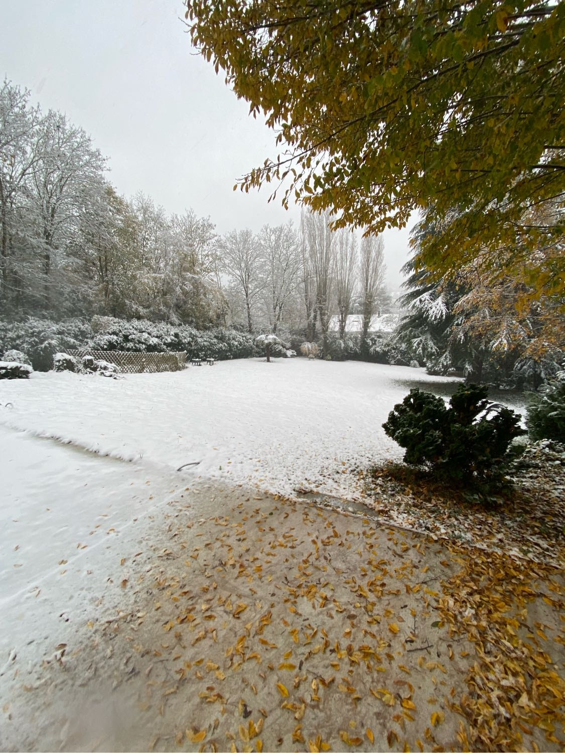 image-9