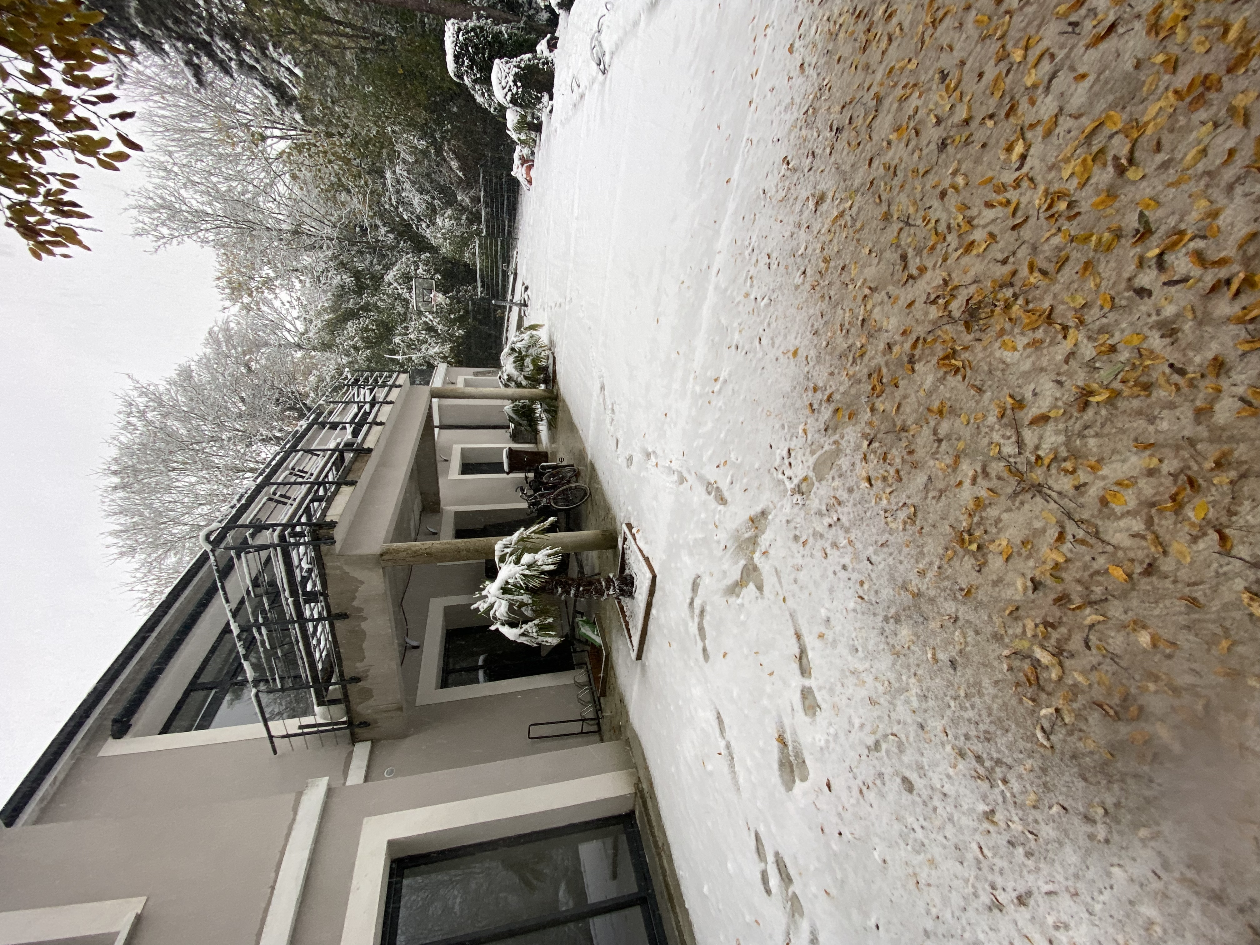 image-13