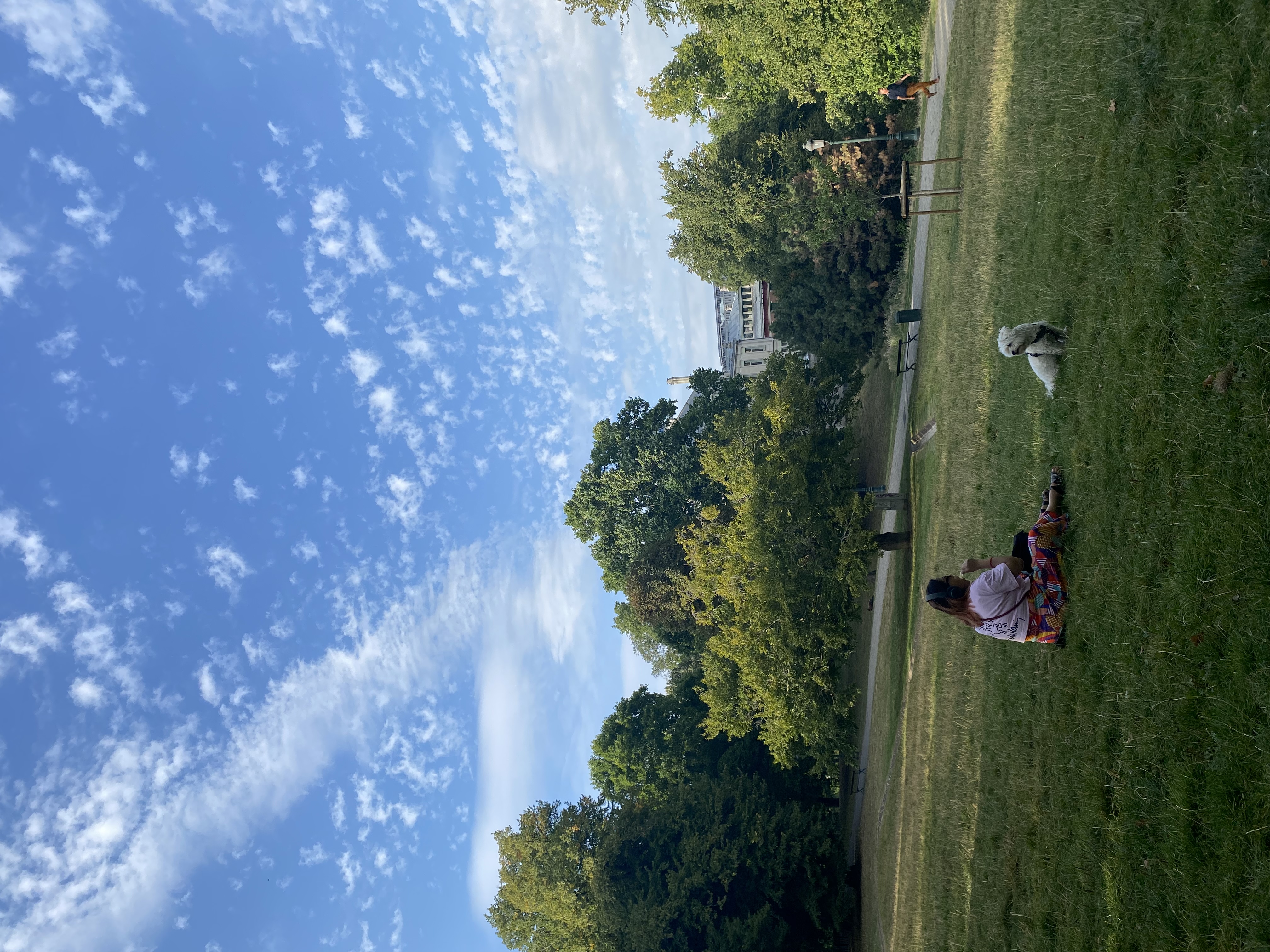 image-17