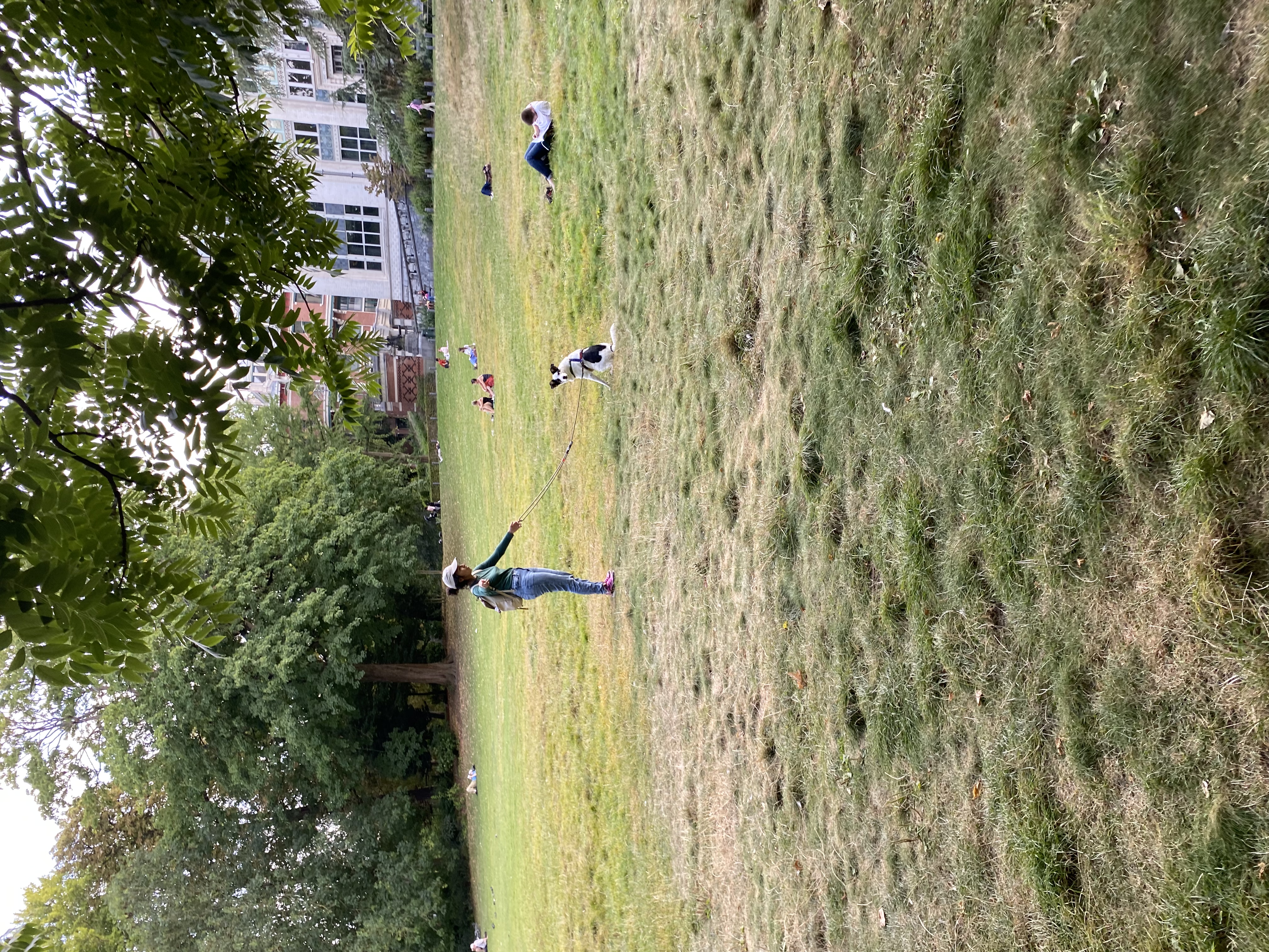 image-14