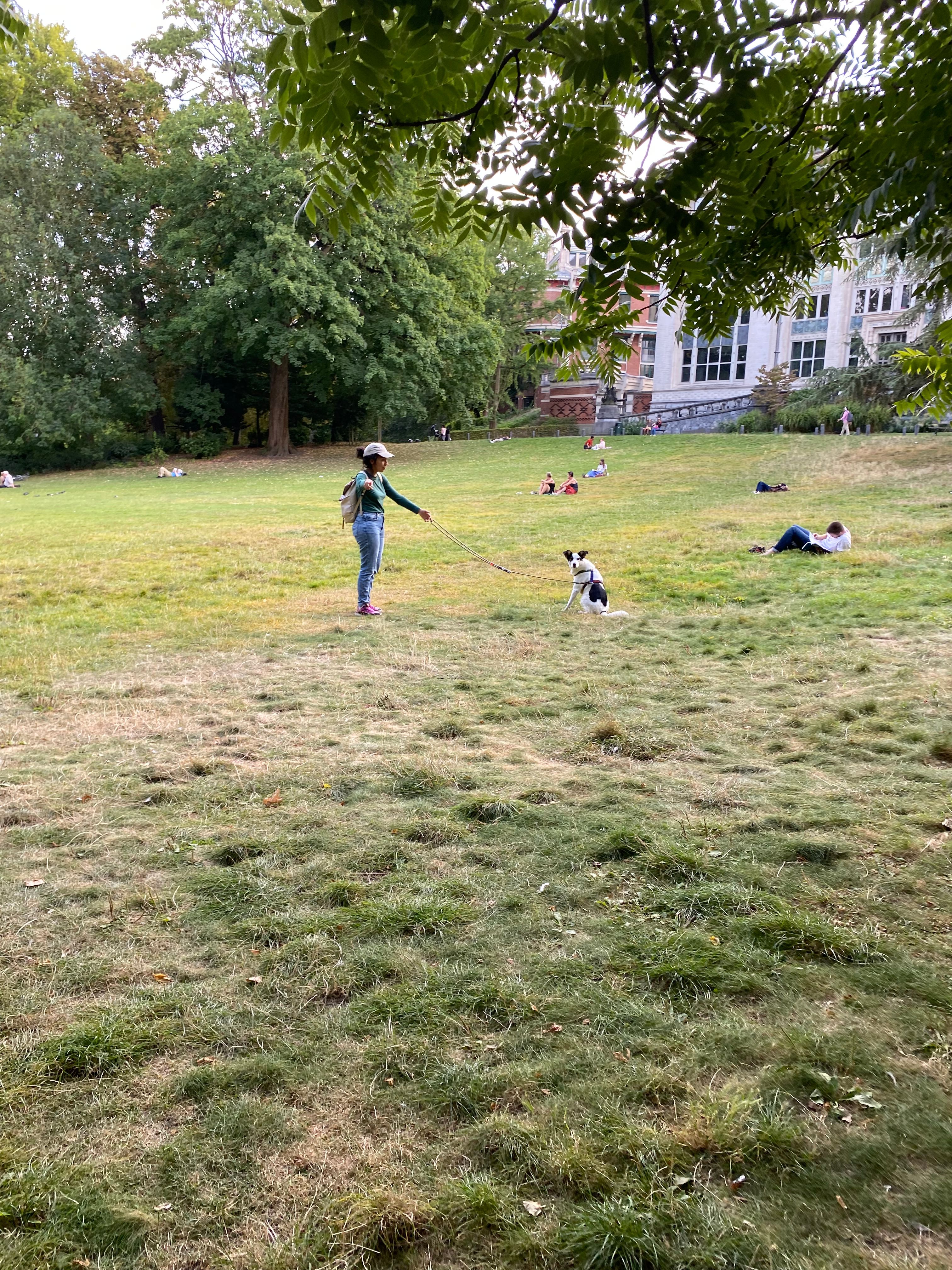 image-14
