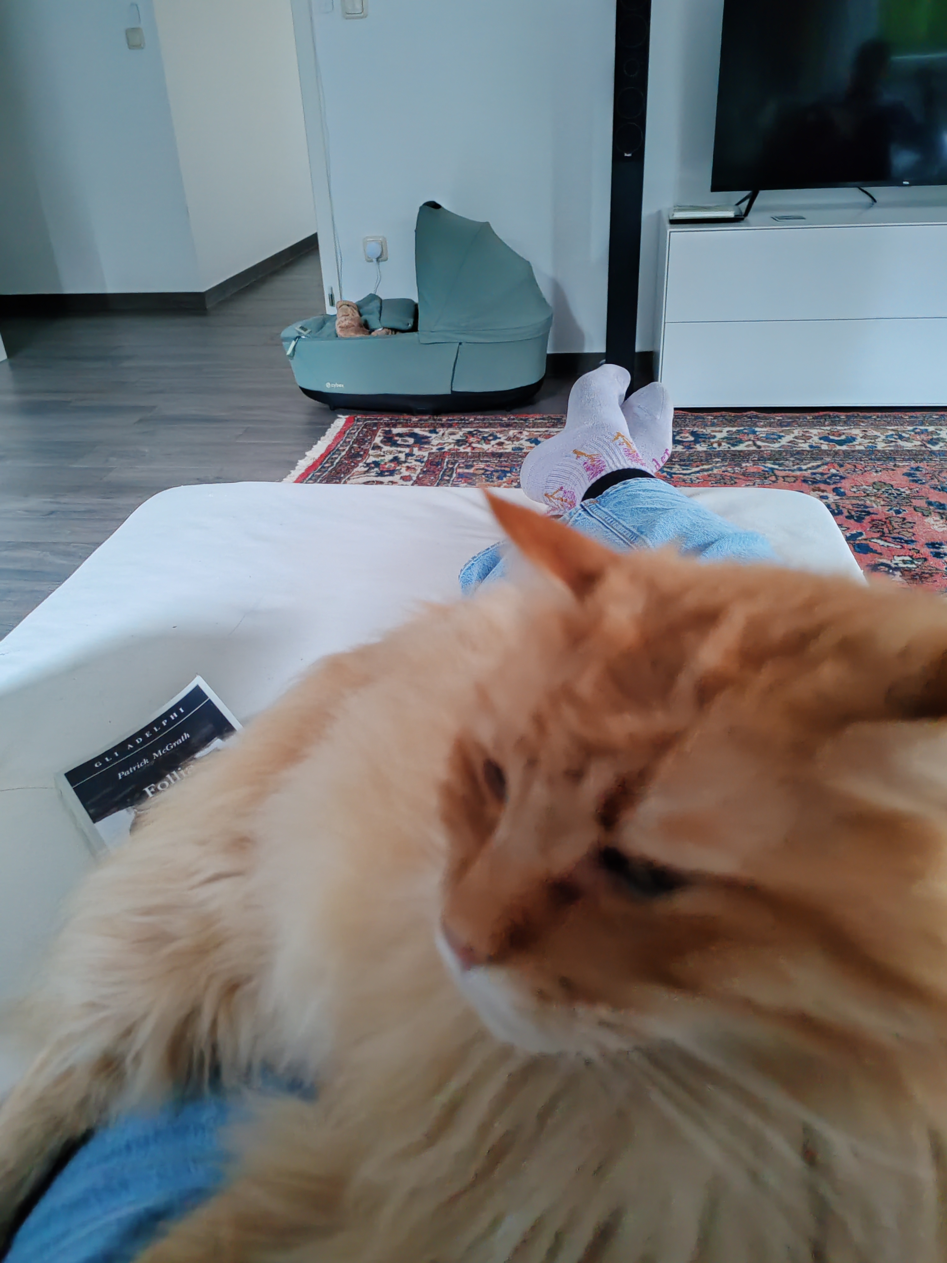 image-9