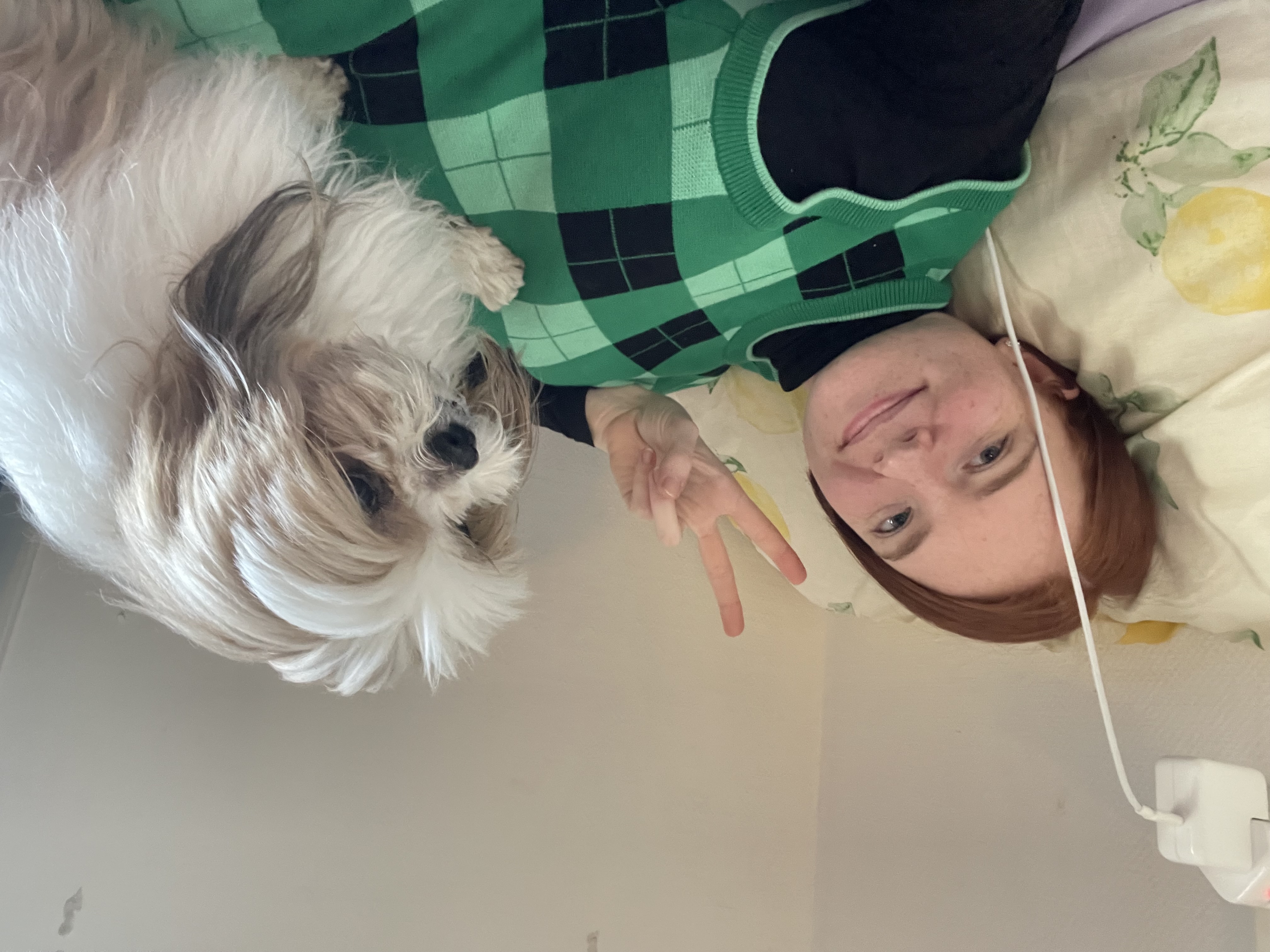 image-10
