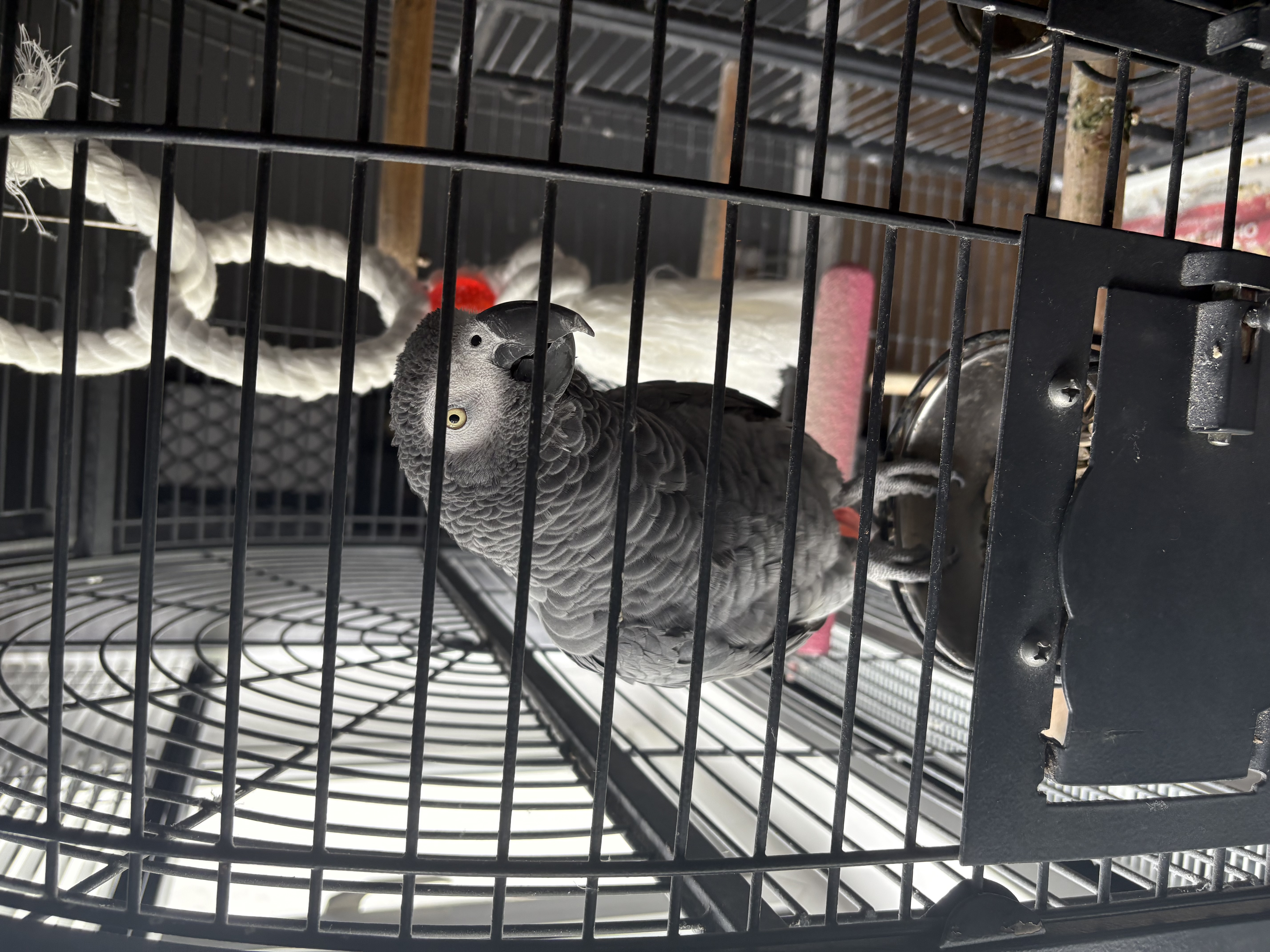 image-11