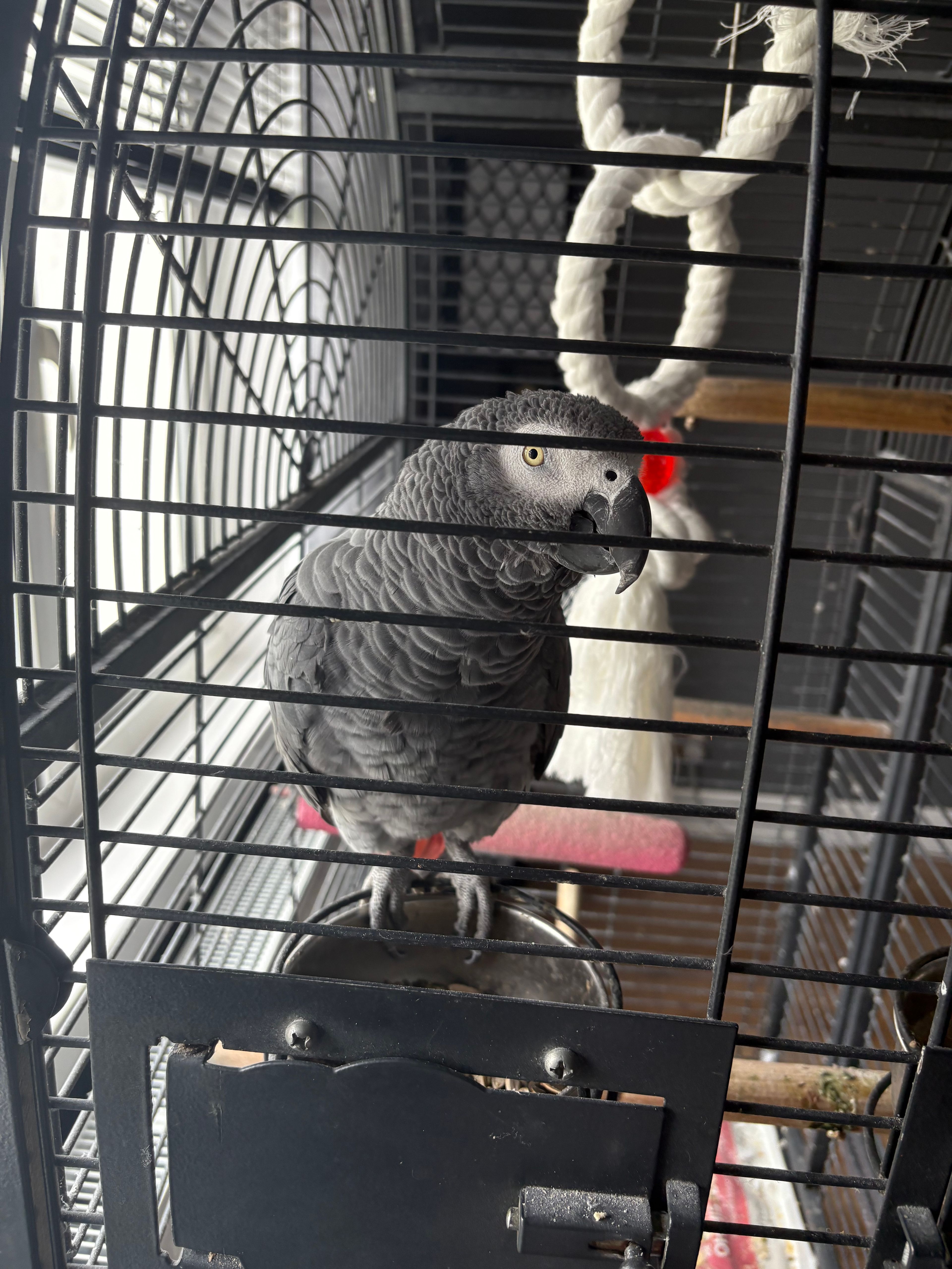 image-11