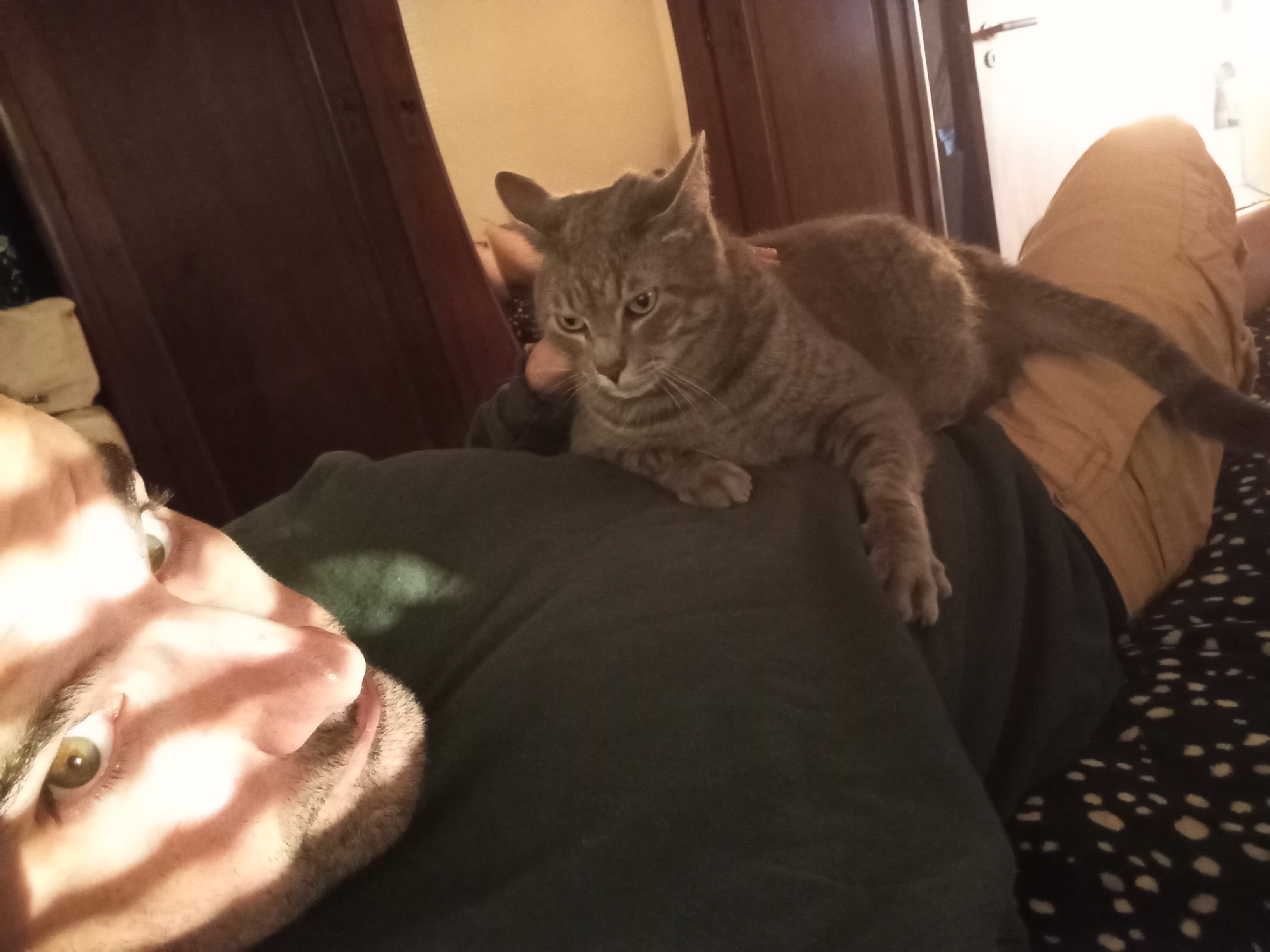 image-8