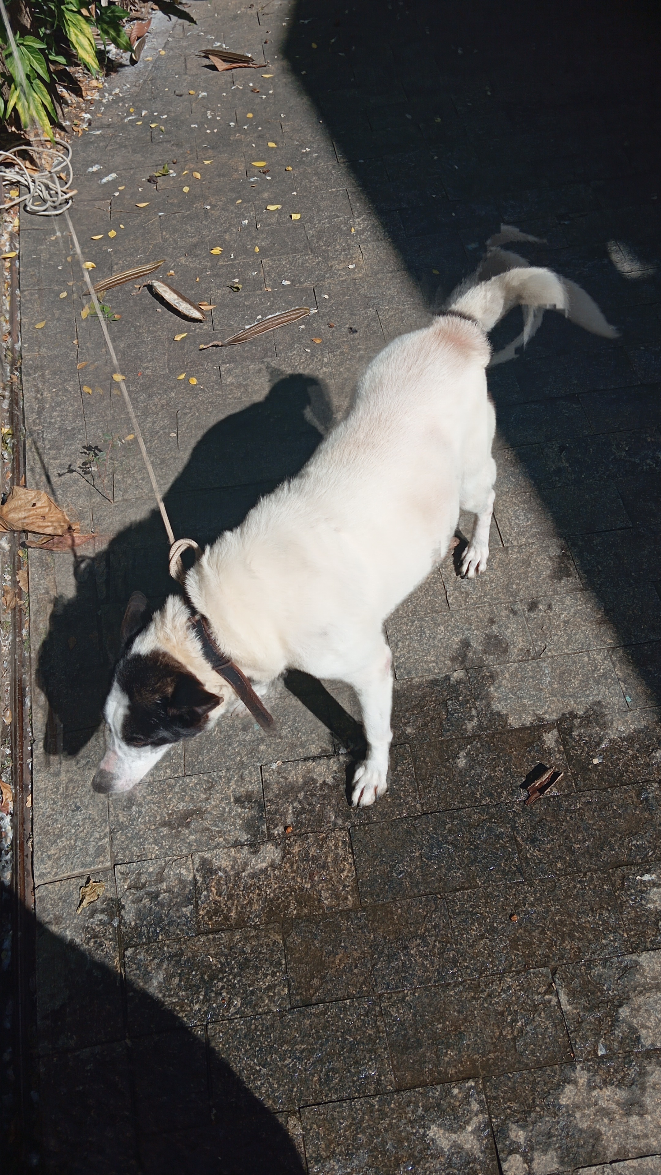 image-9