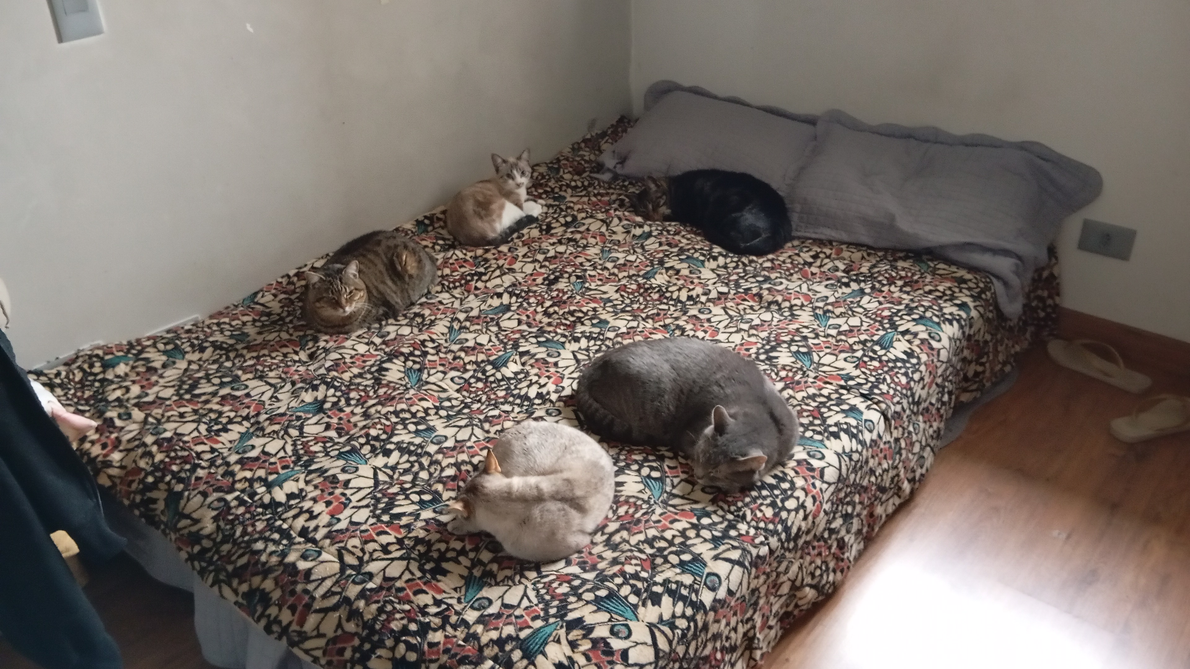image-6