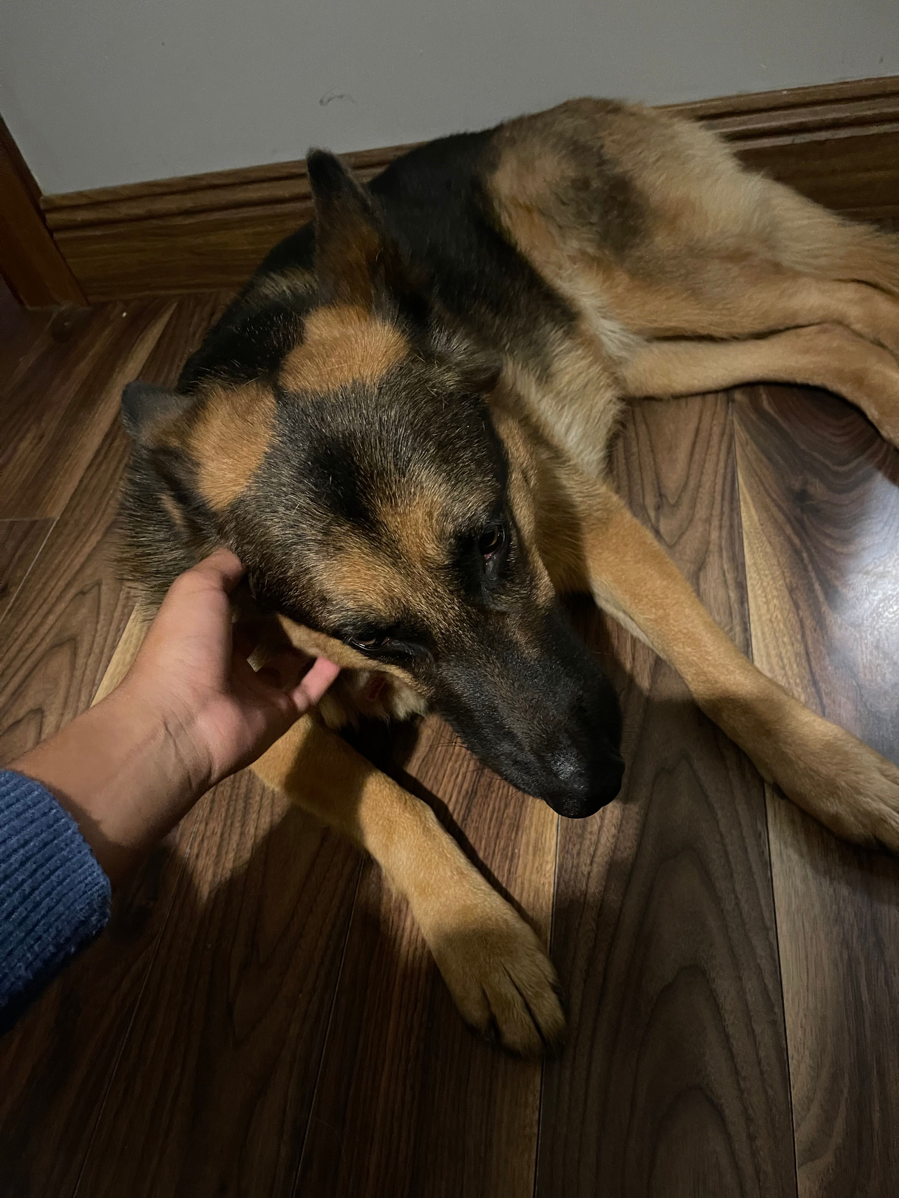 image-9