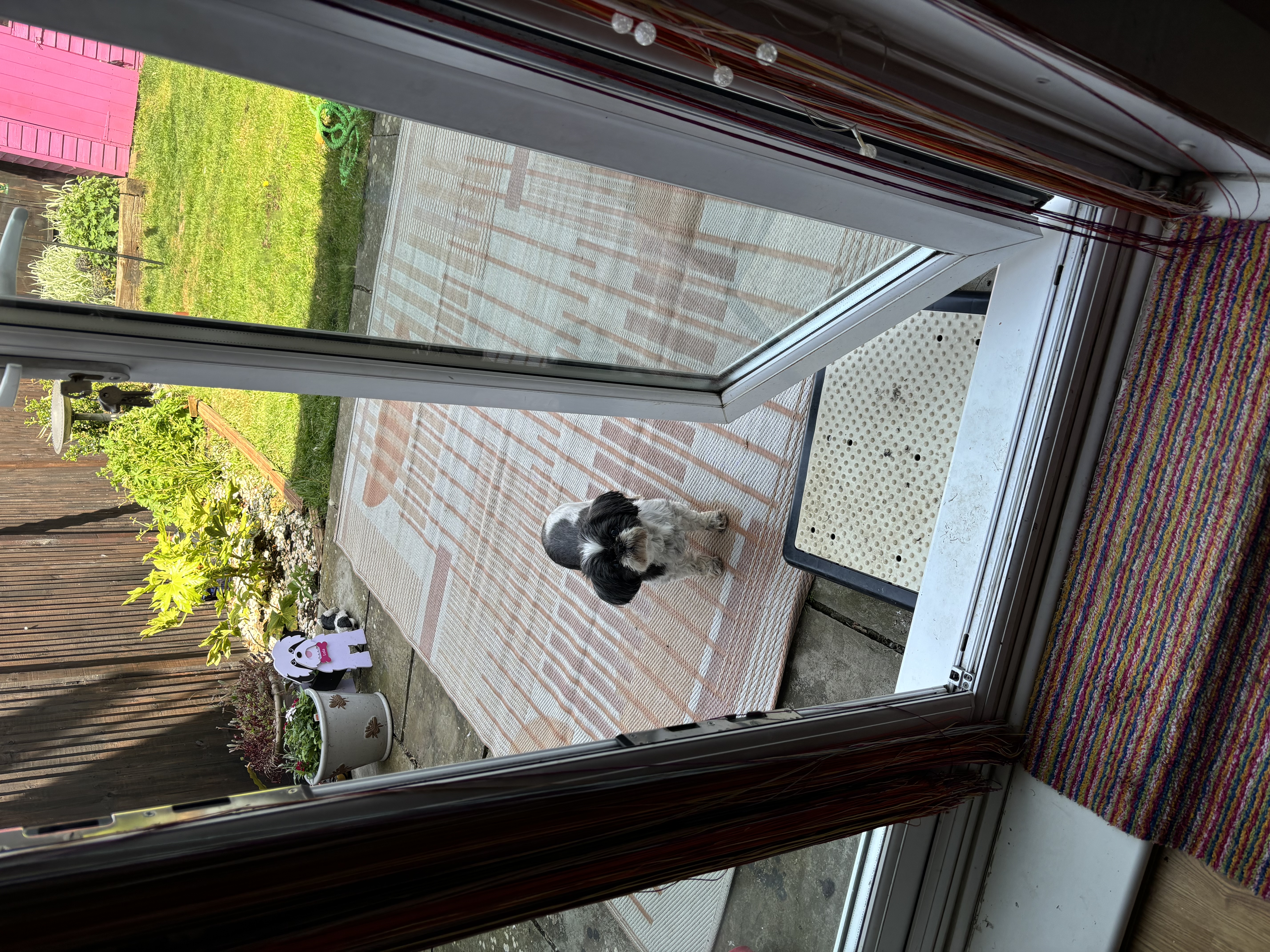 image-5
