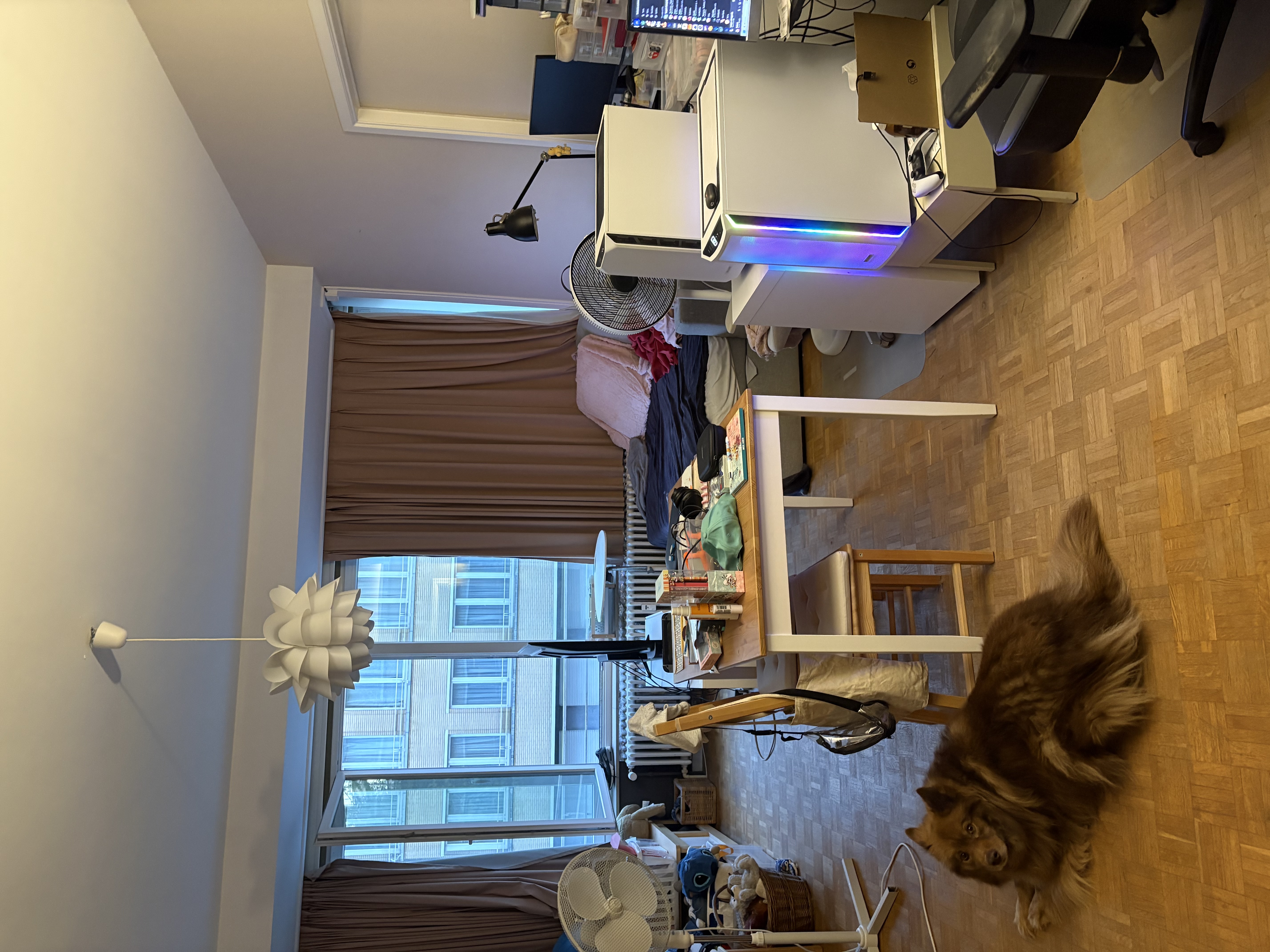 image-13