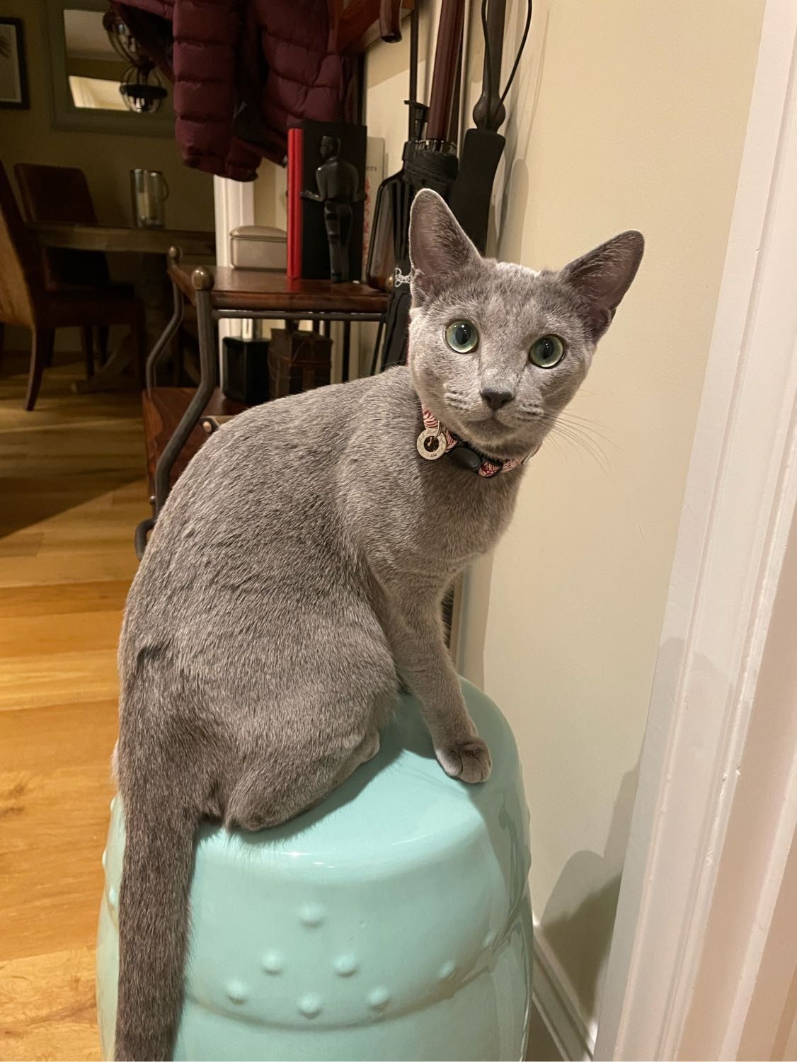 image-6