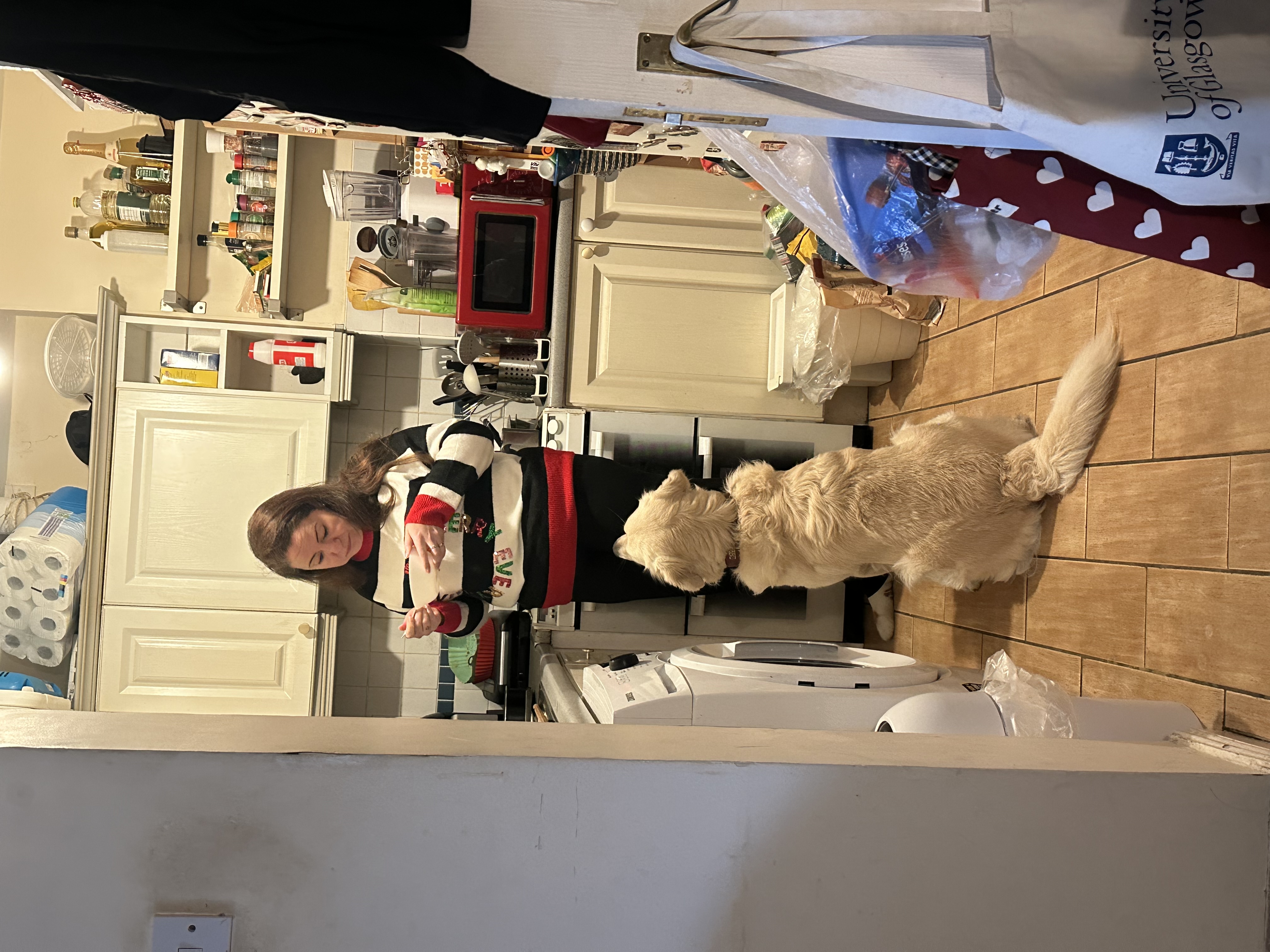 image-12