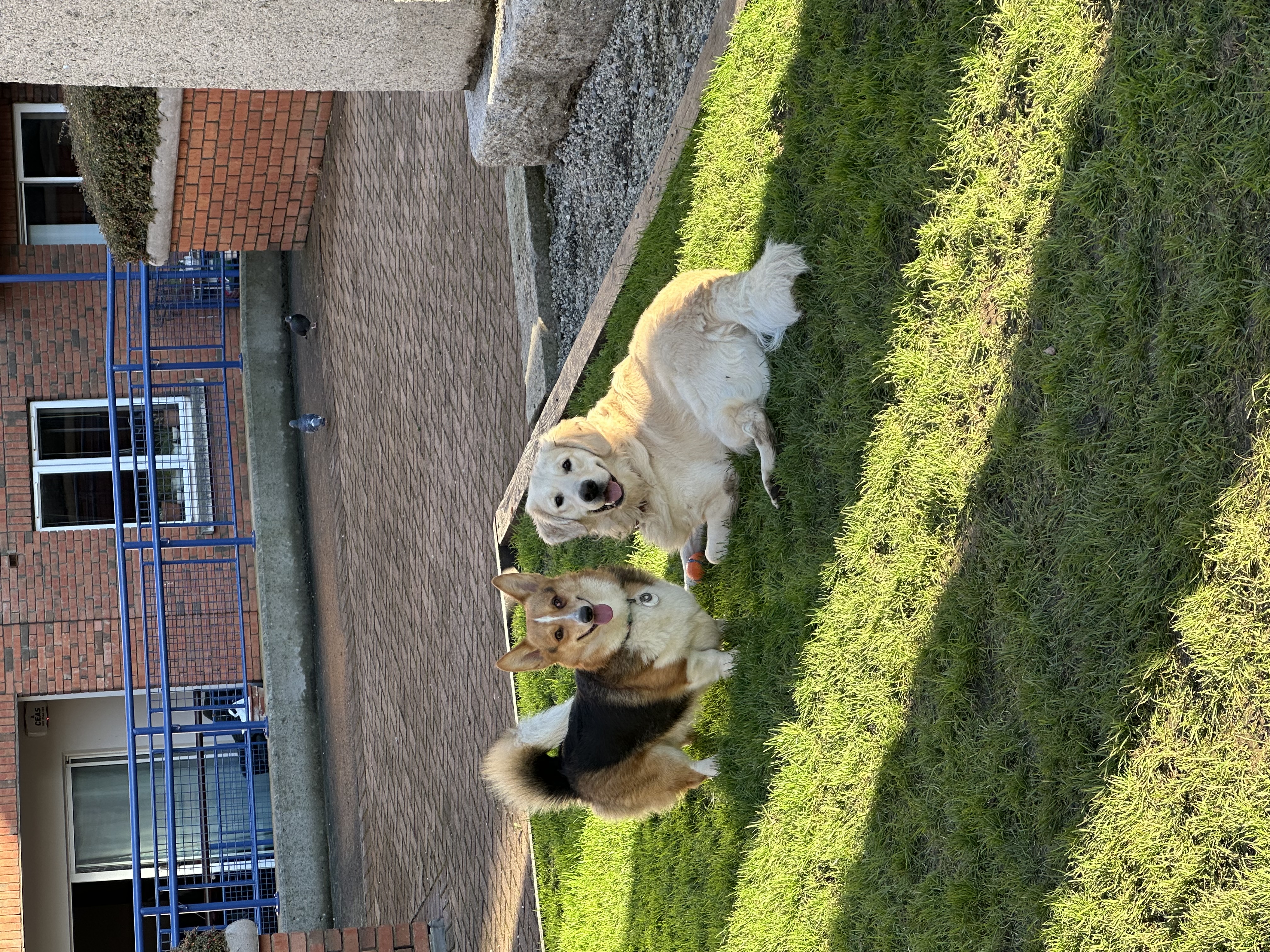 image-9