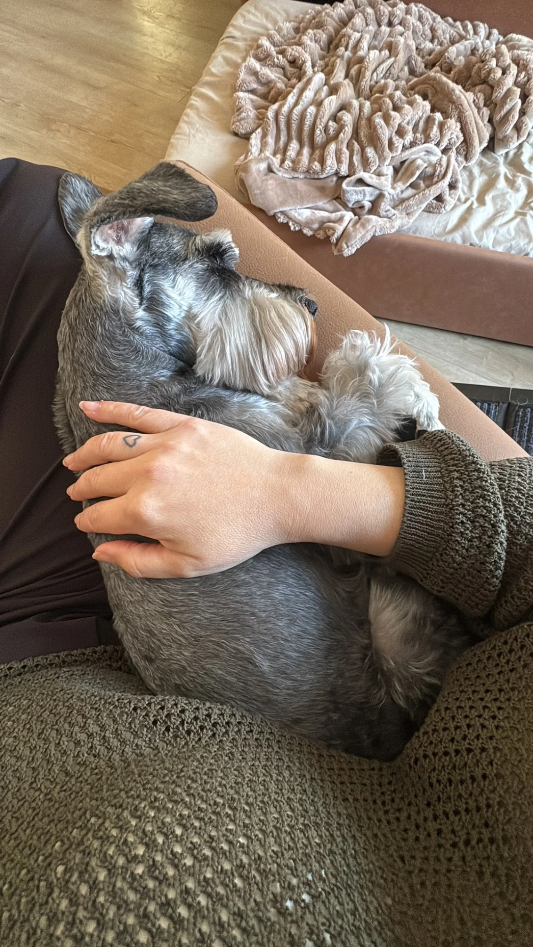 image-16