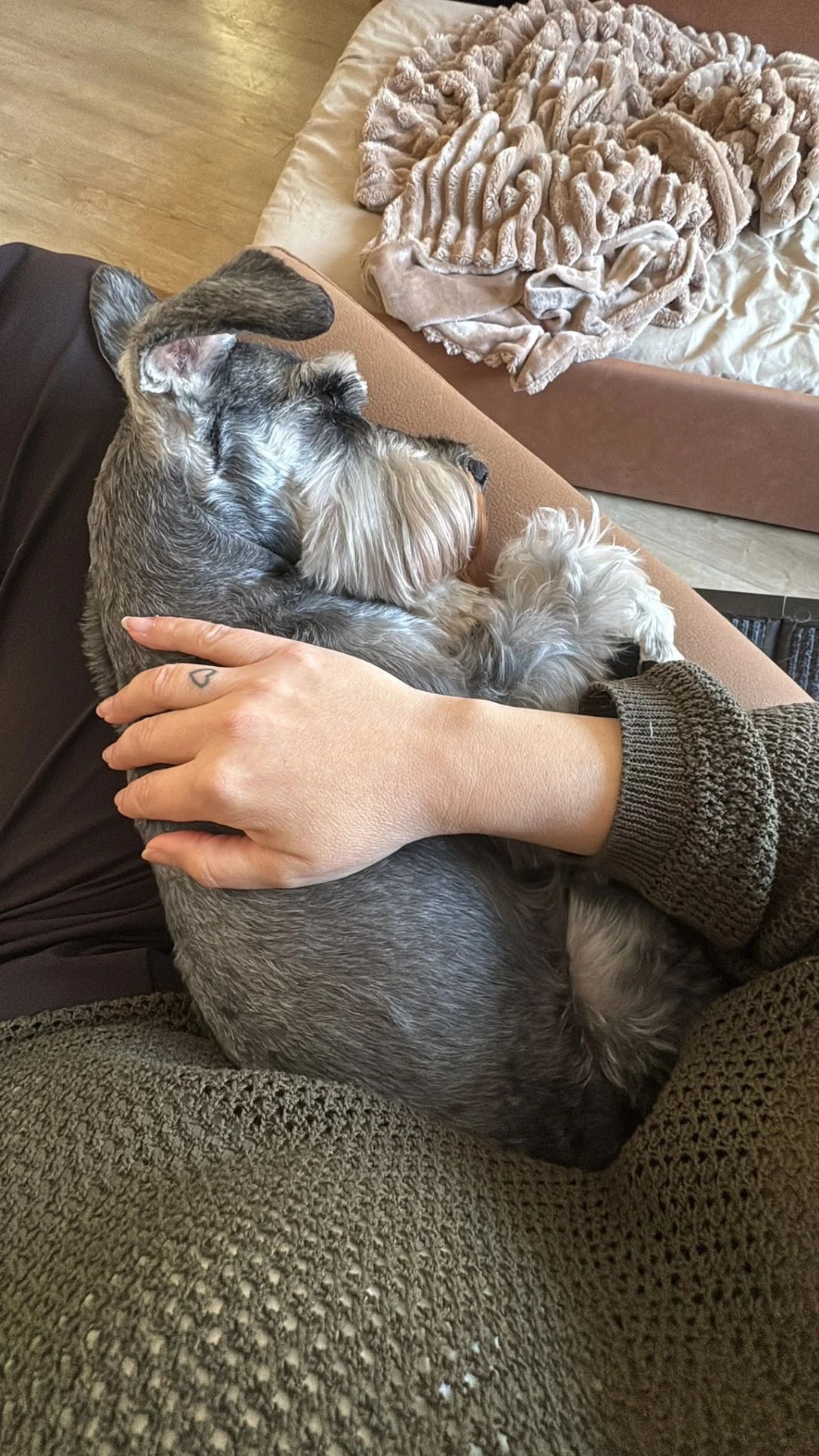 image-16