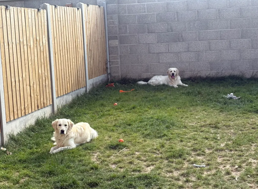 image-47