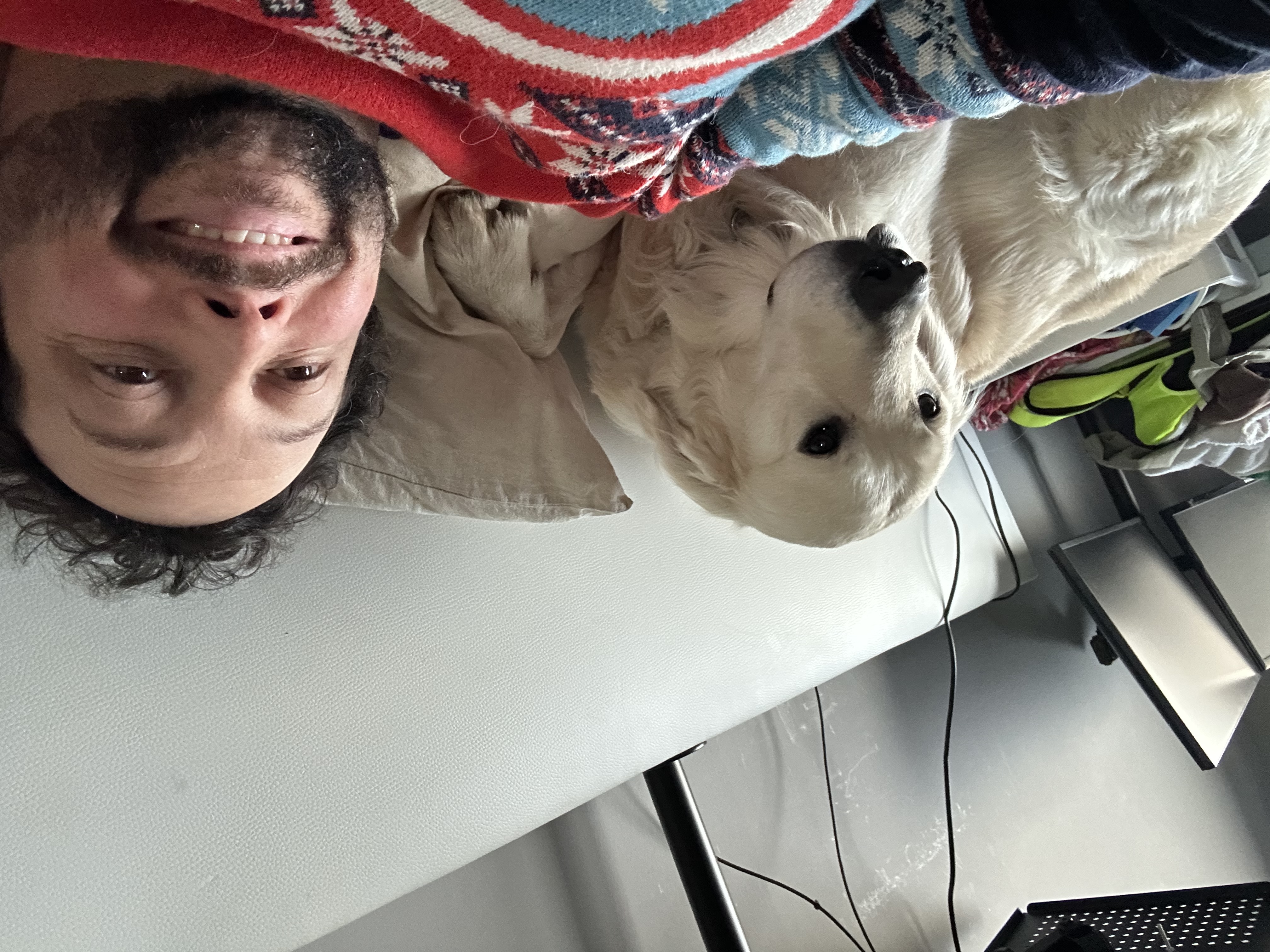 image-8