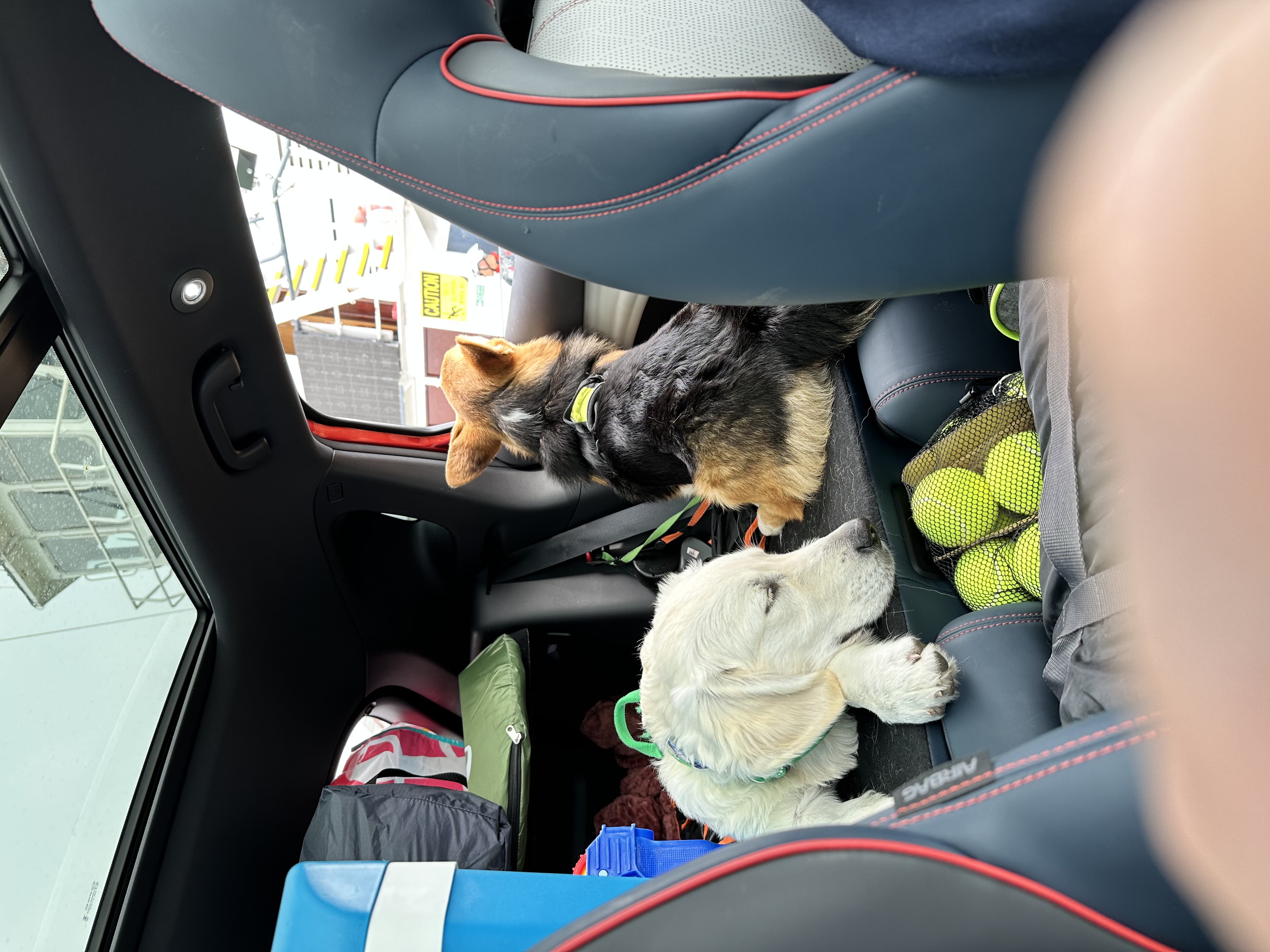 image-6