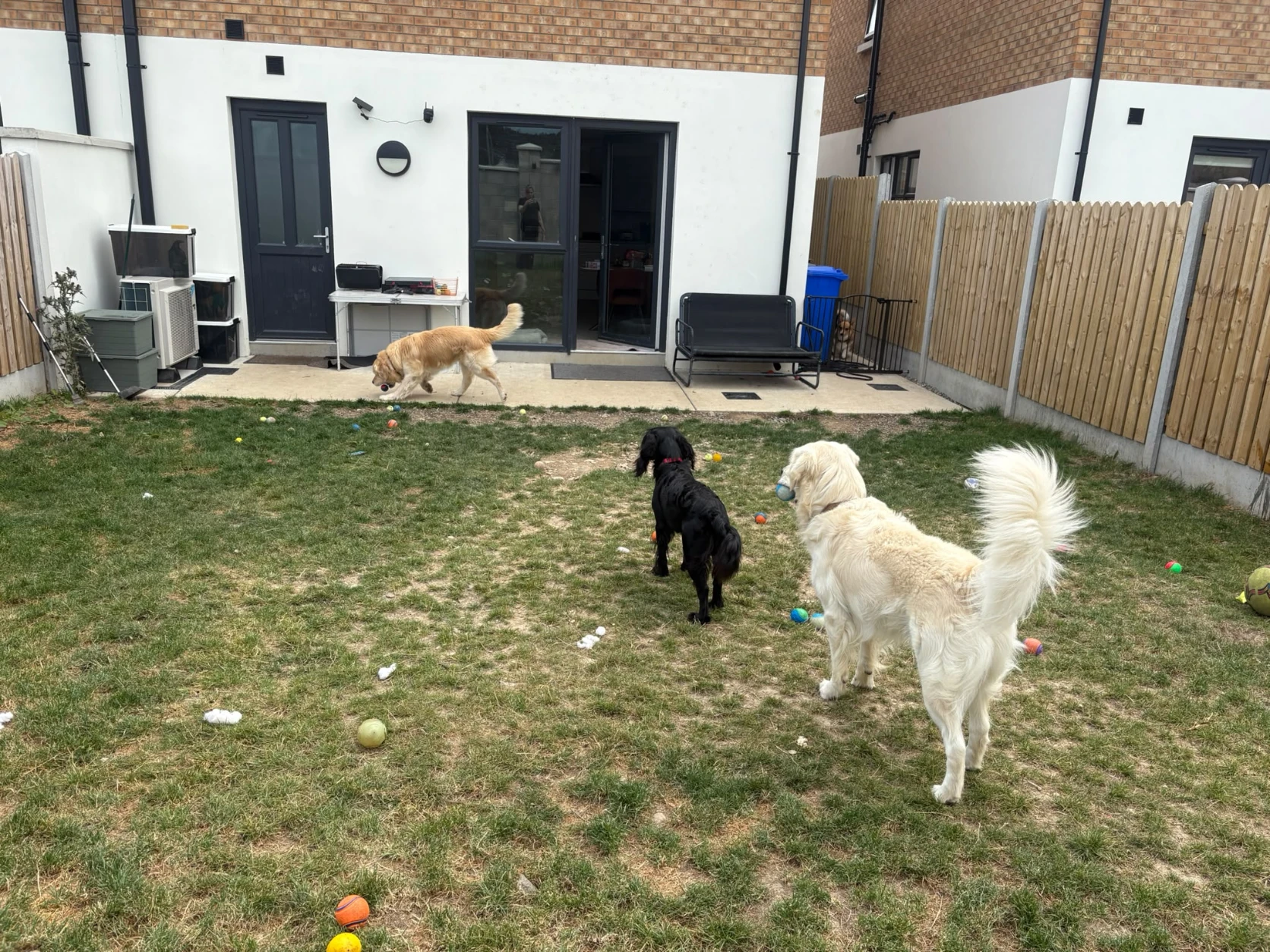 image-38