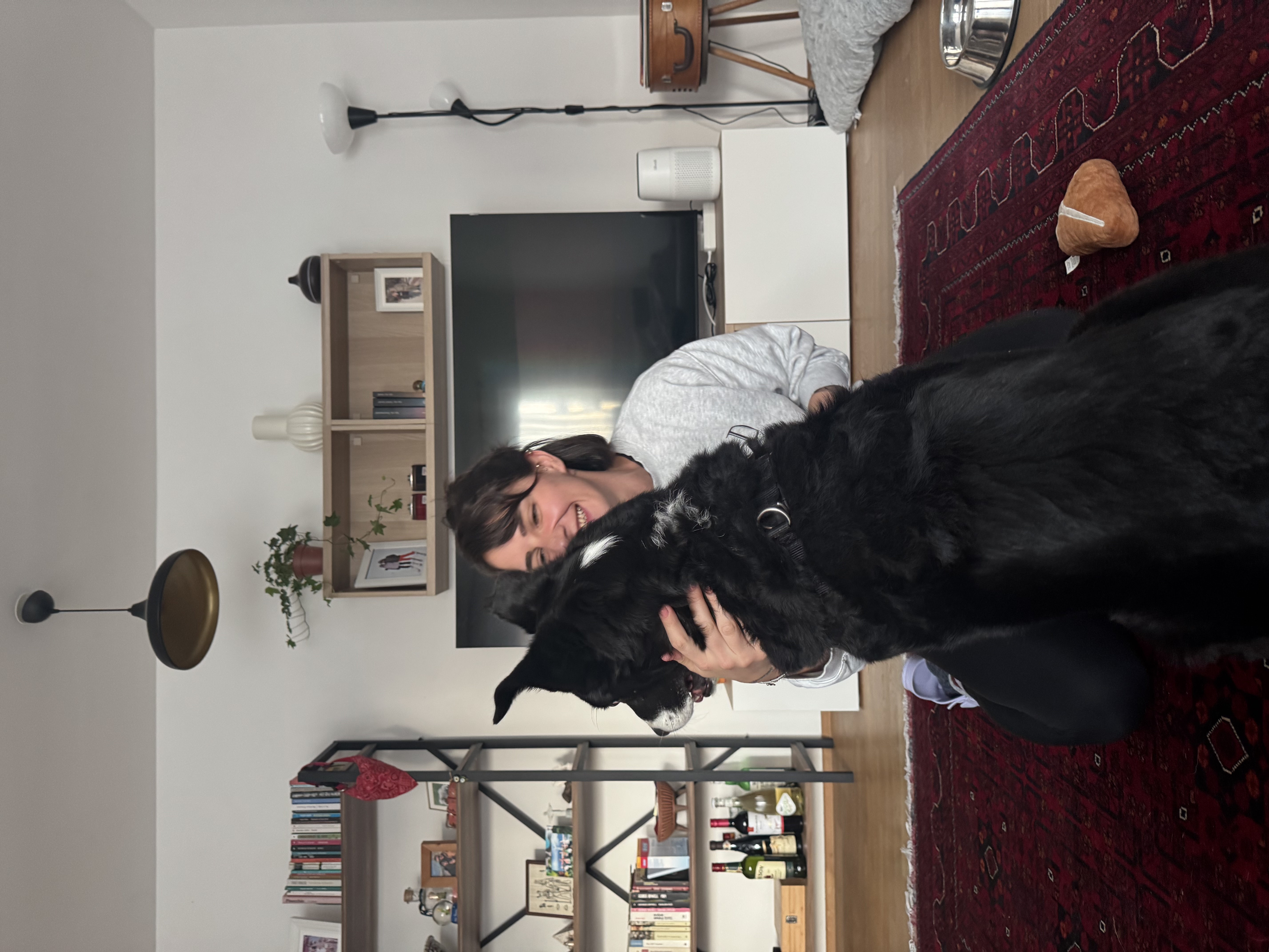 image-17