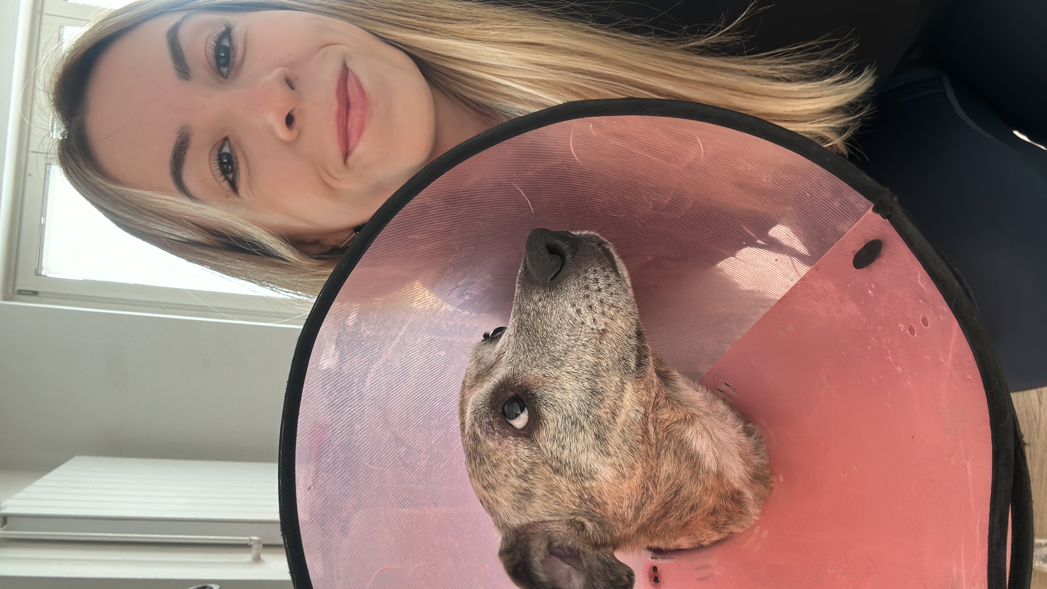 image-6