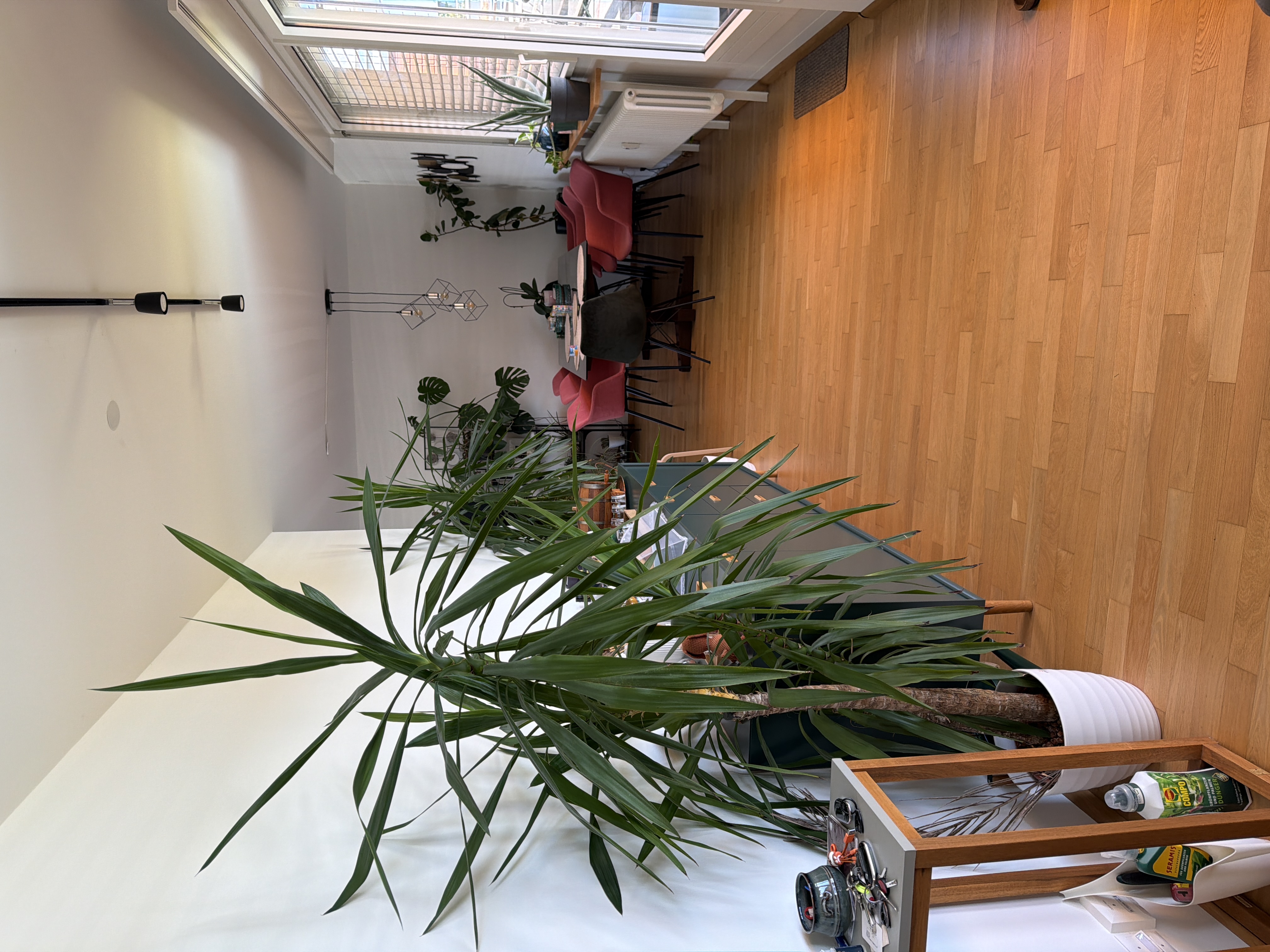 image-13