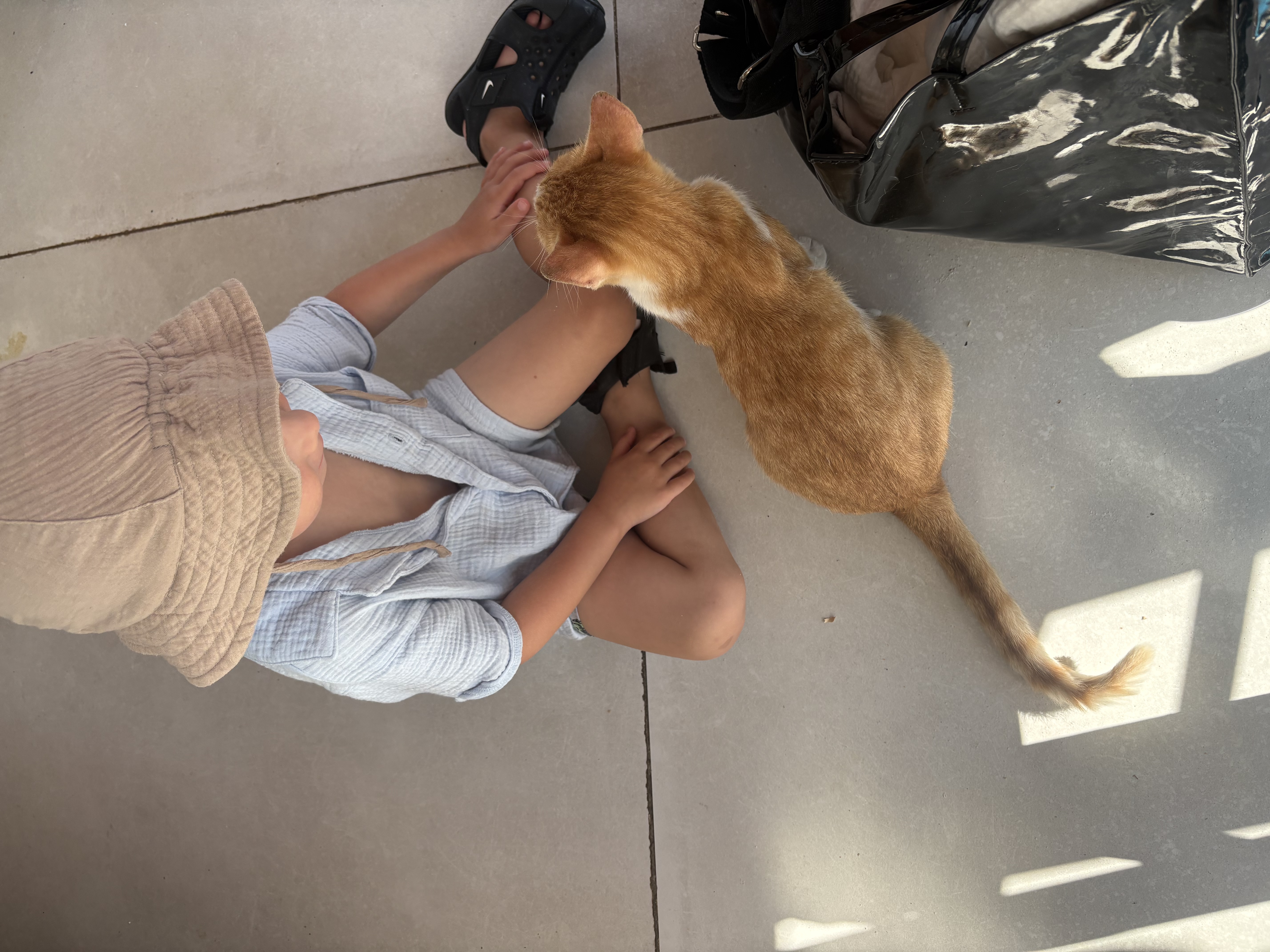 image-20