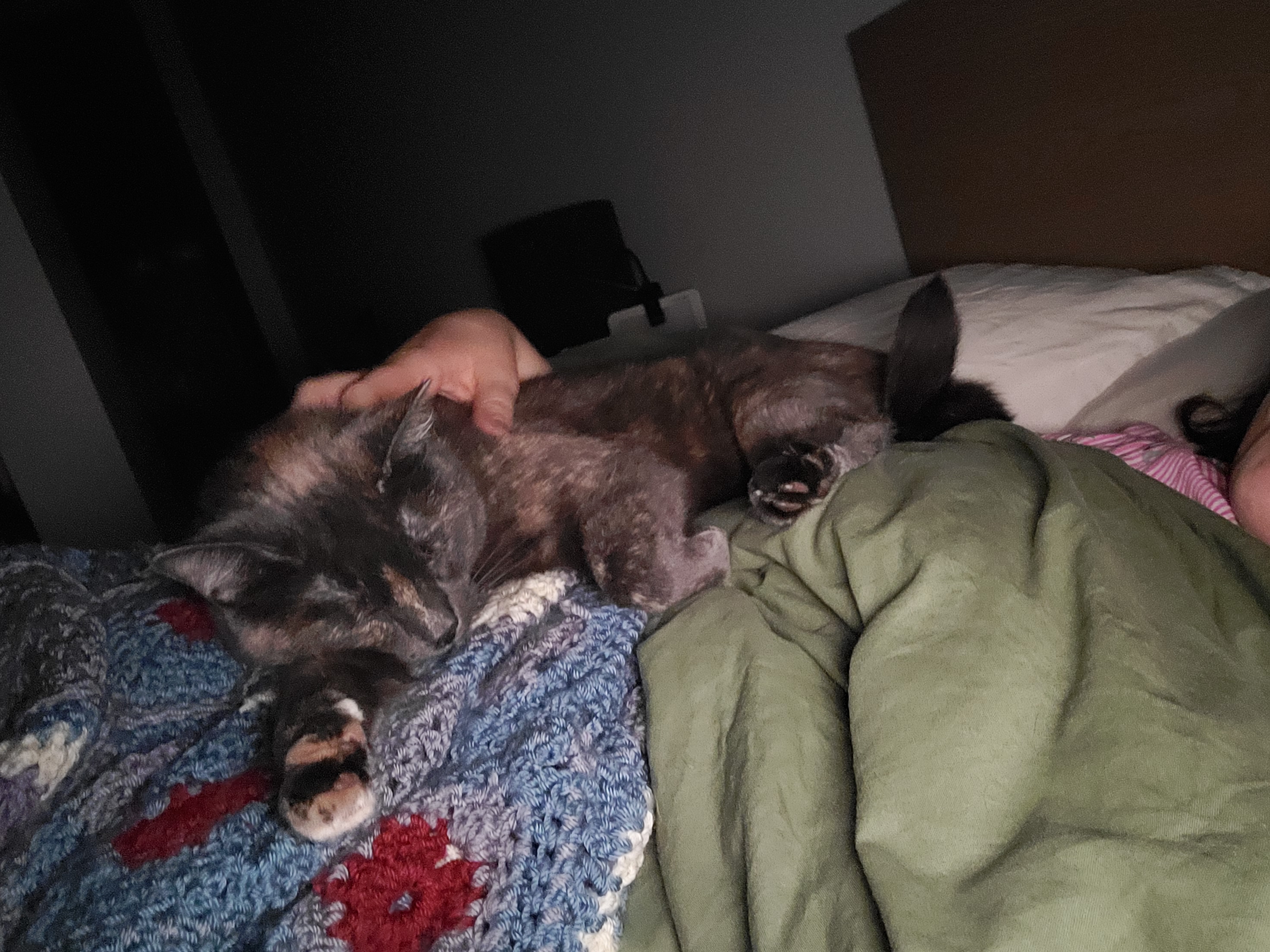 image-14