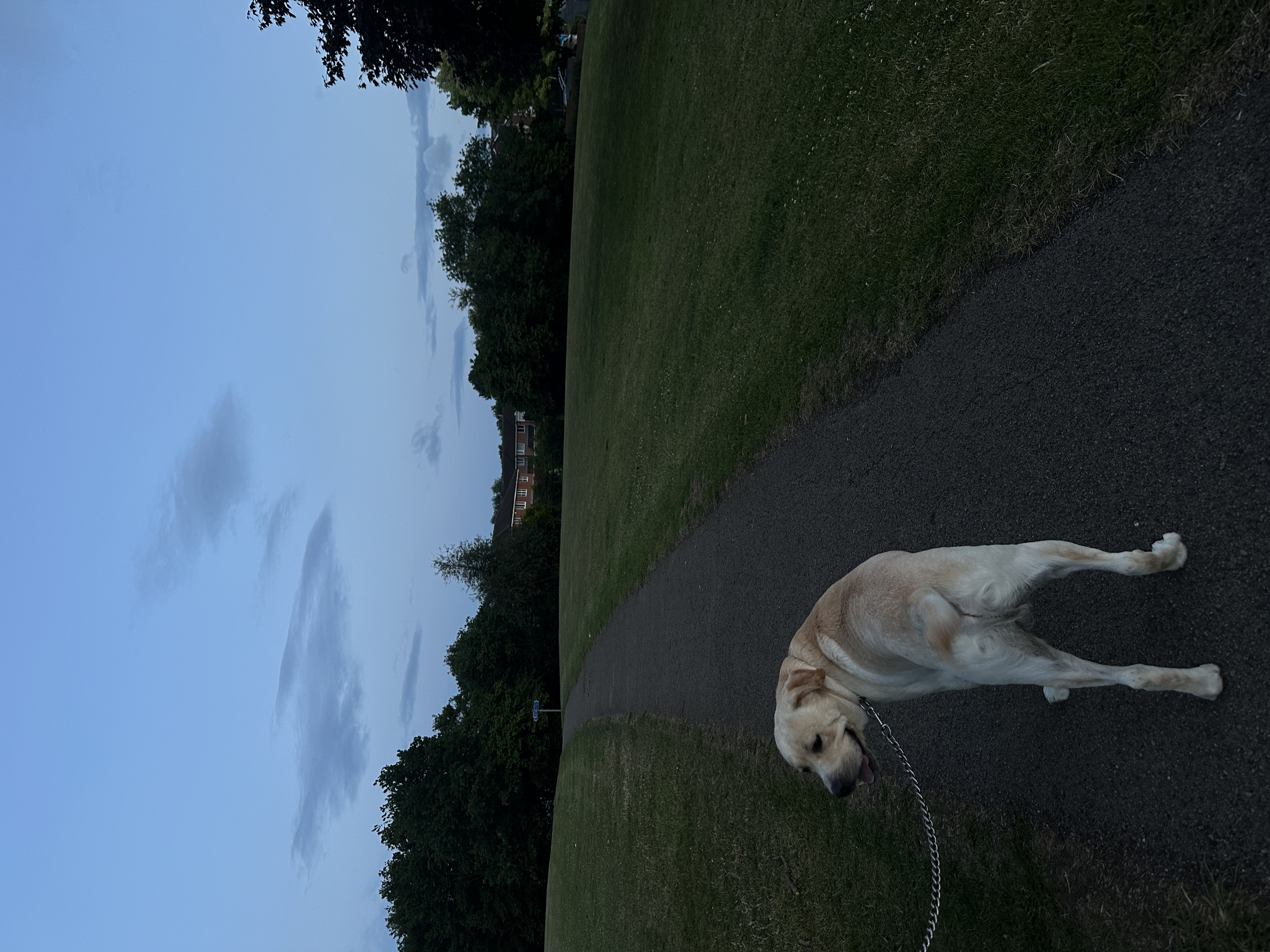 image-17