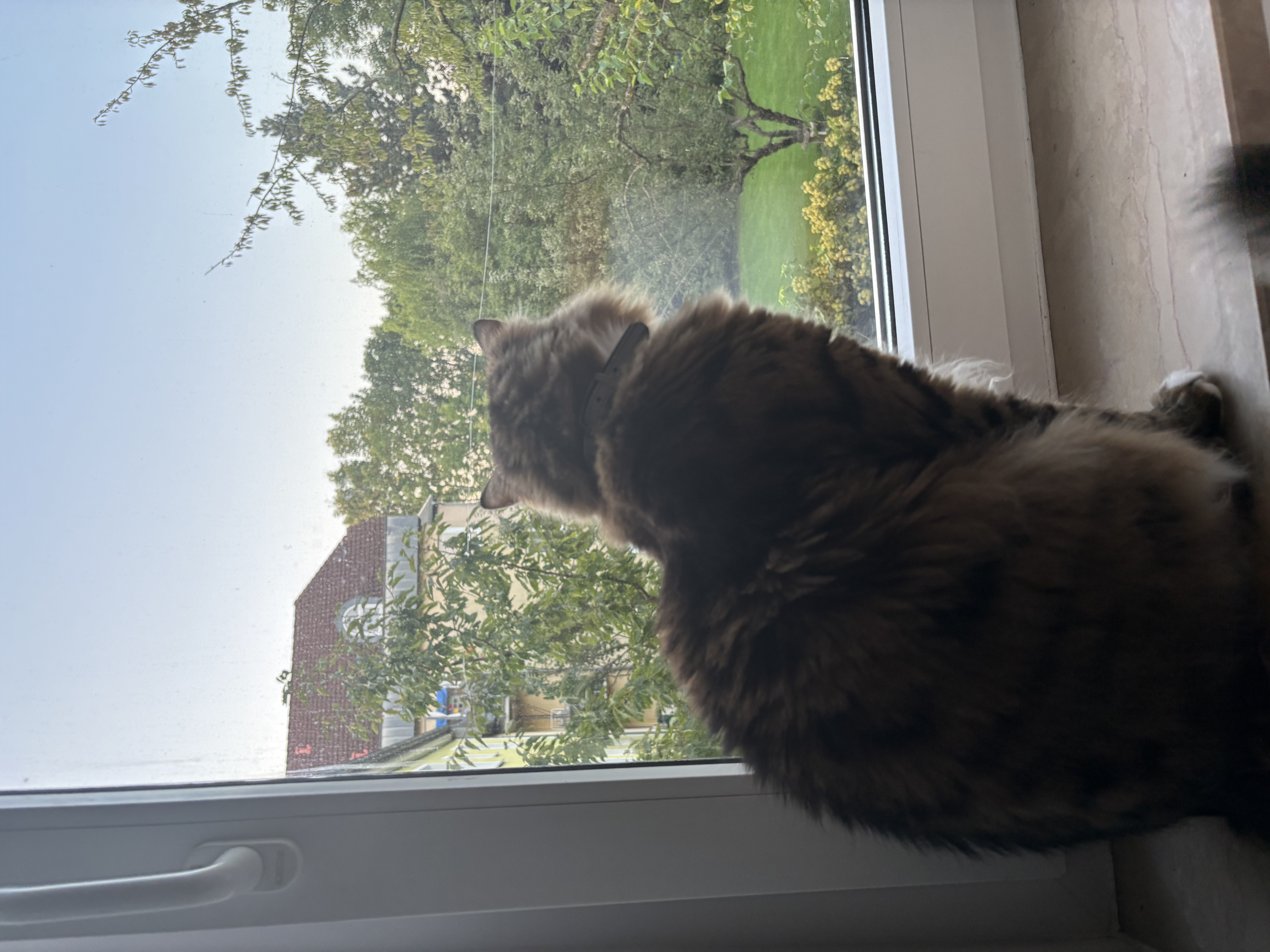 image-15