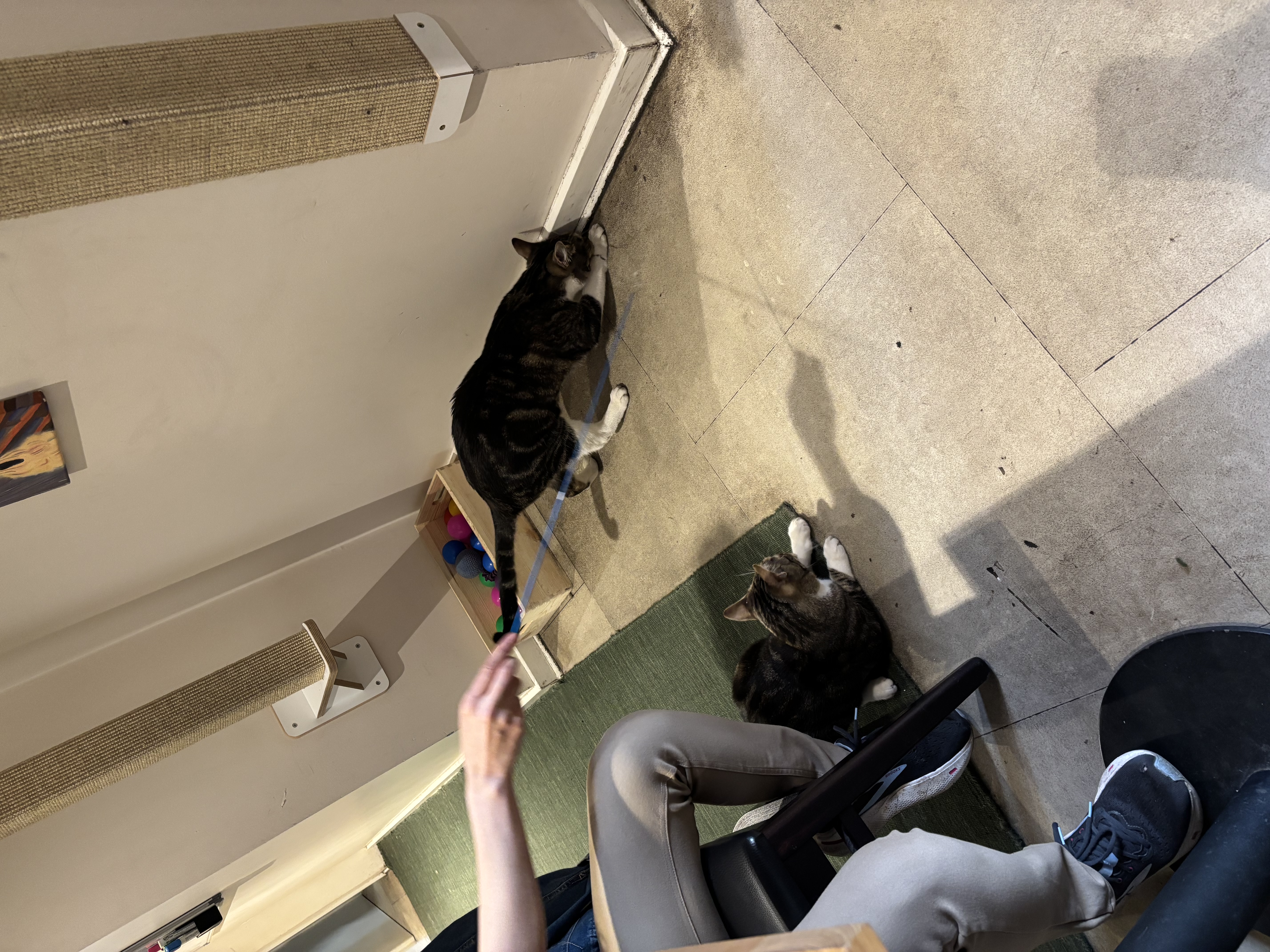 image-6