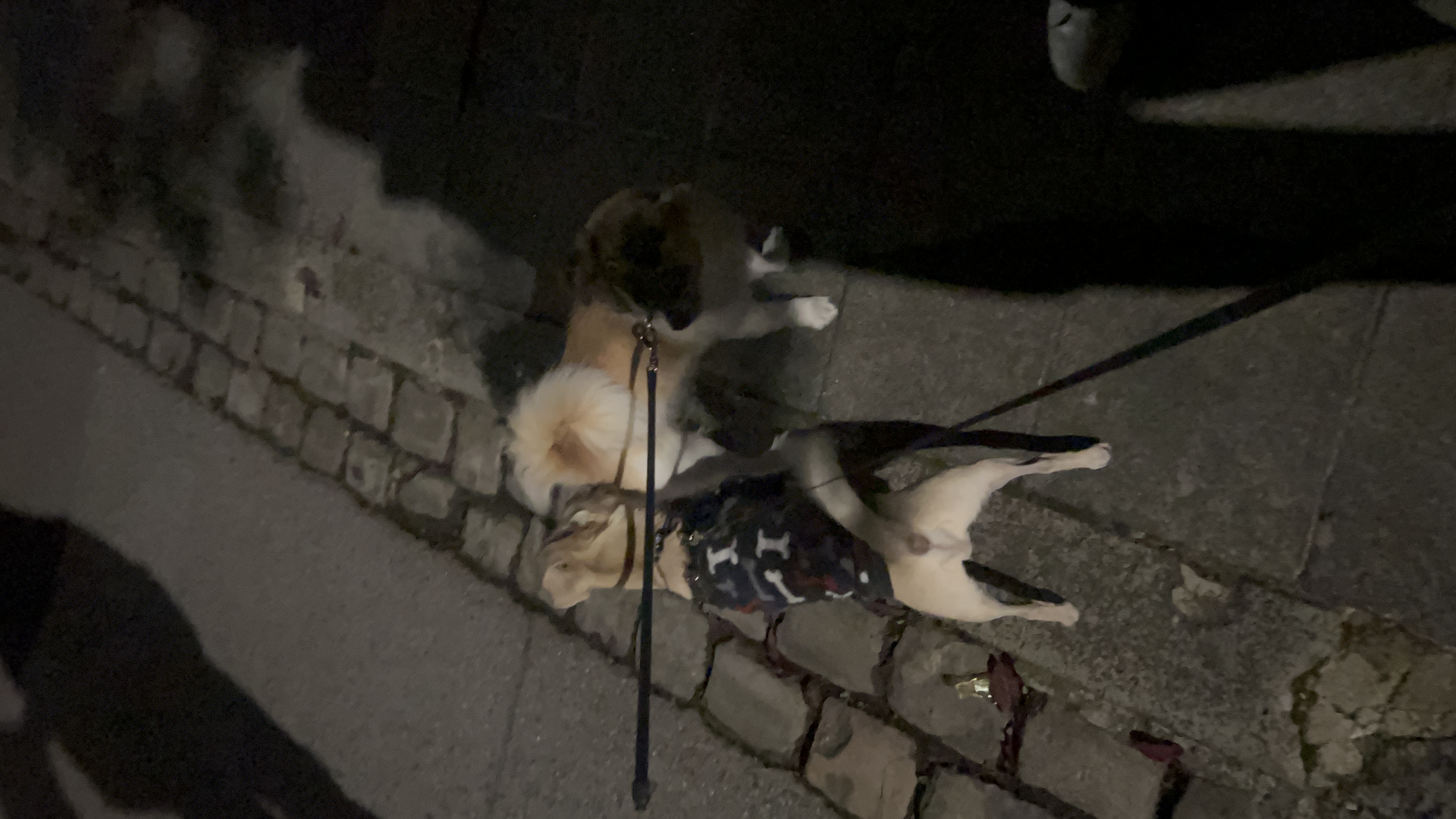 image-4