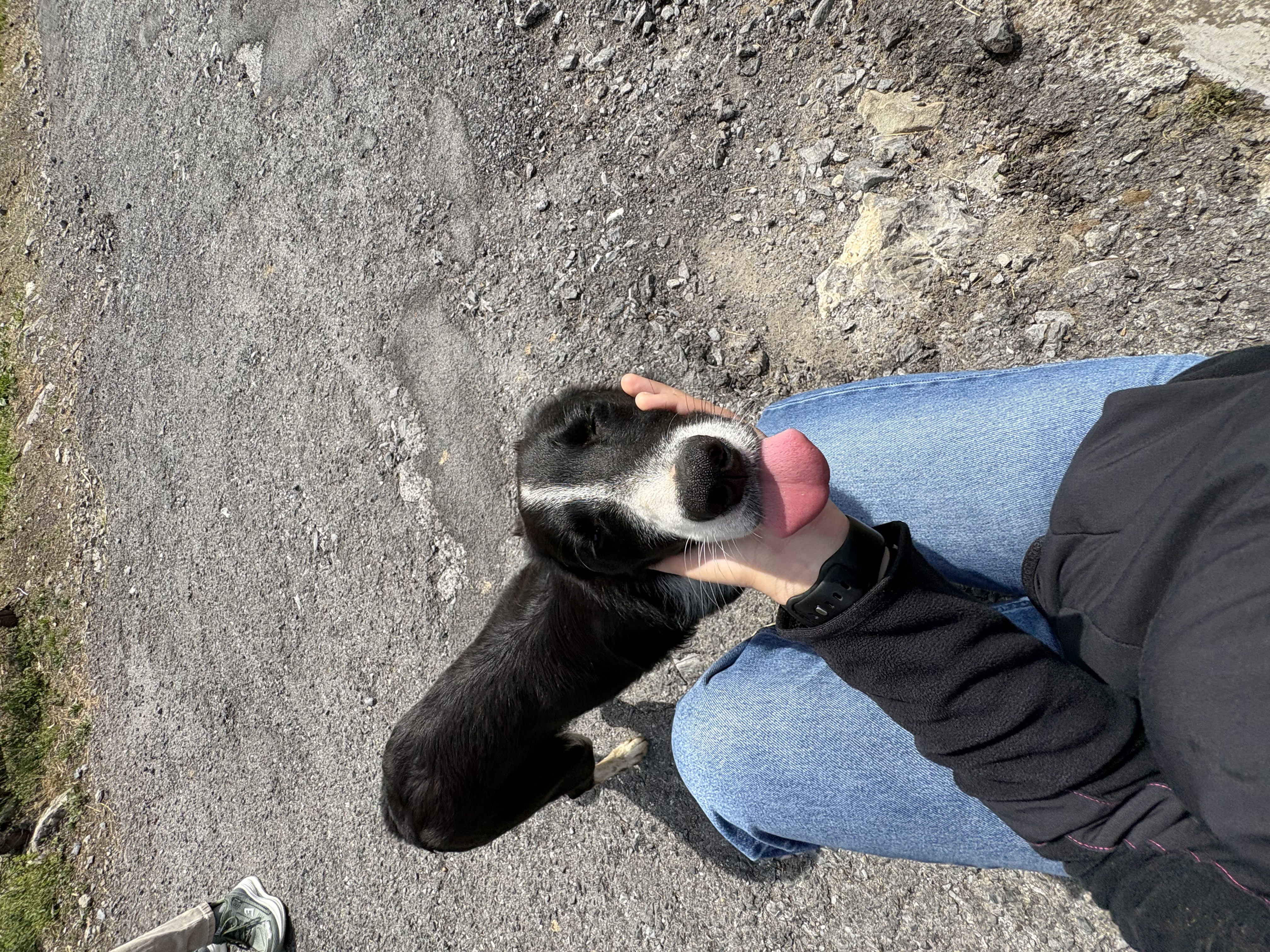 image-8