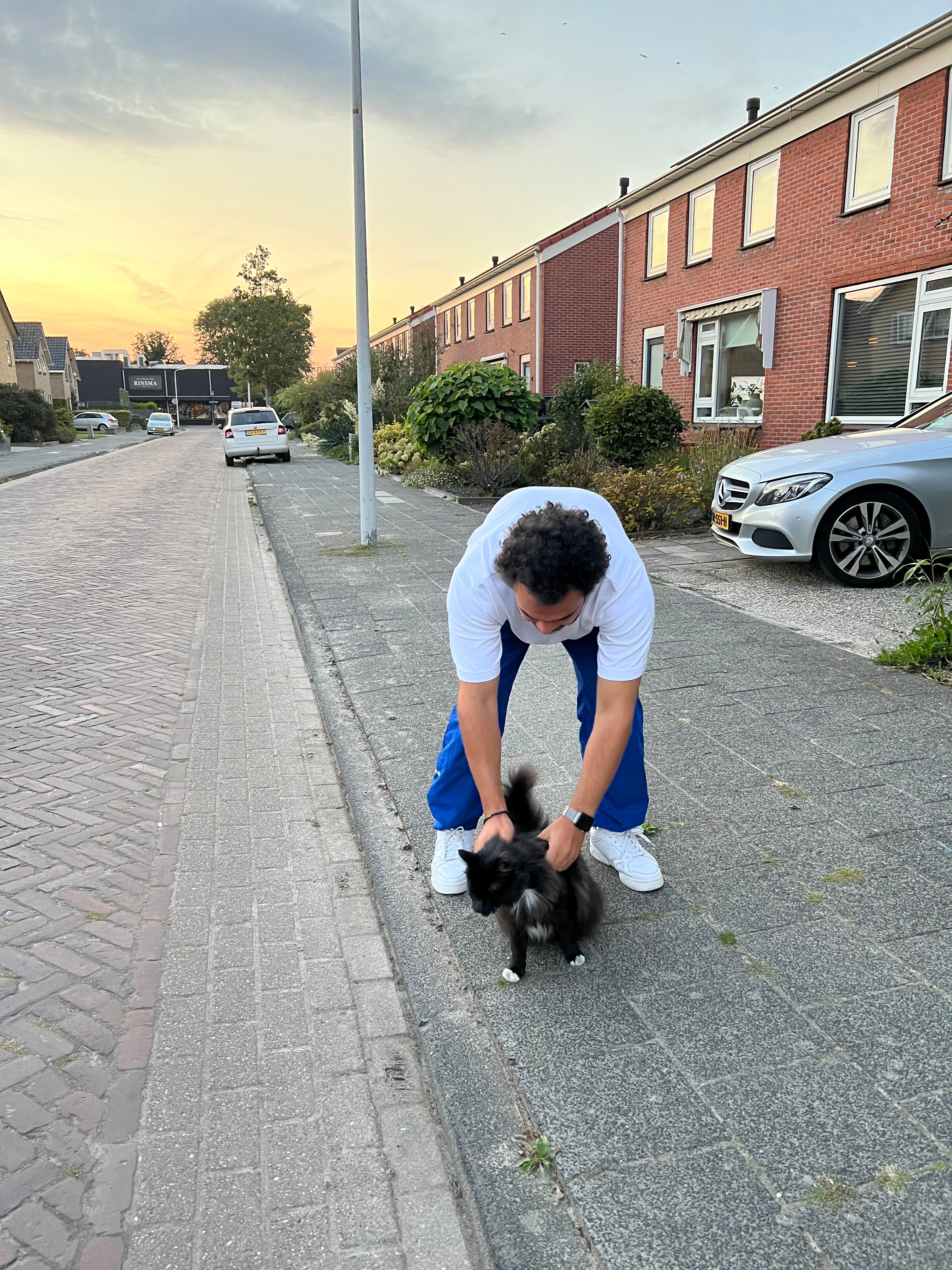 image-4