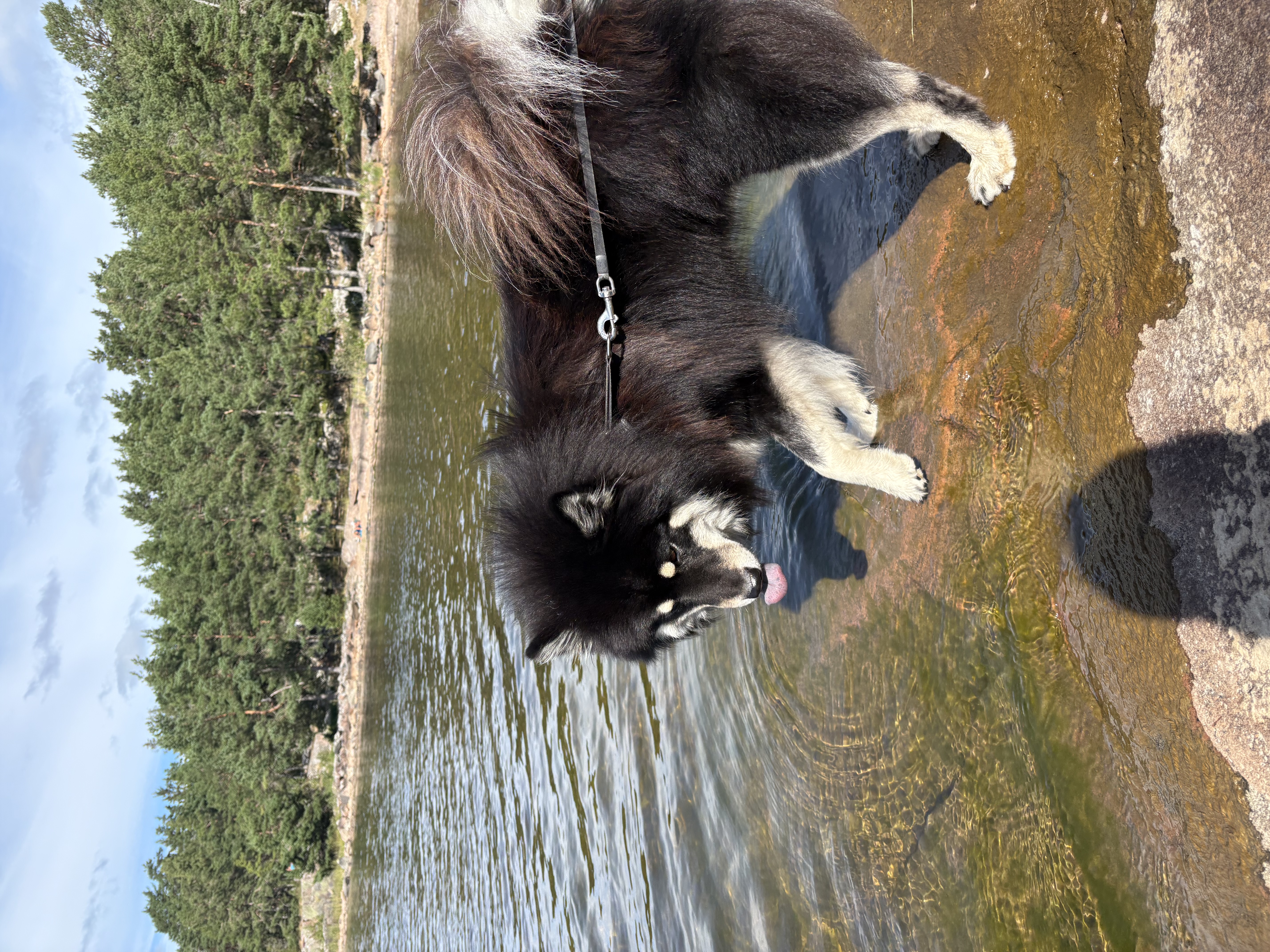image-7