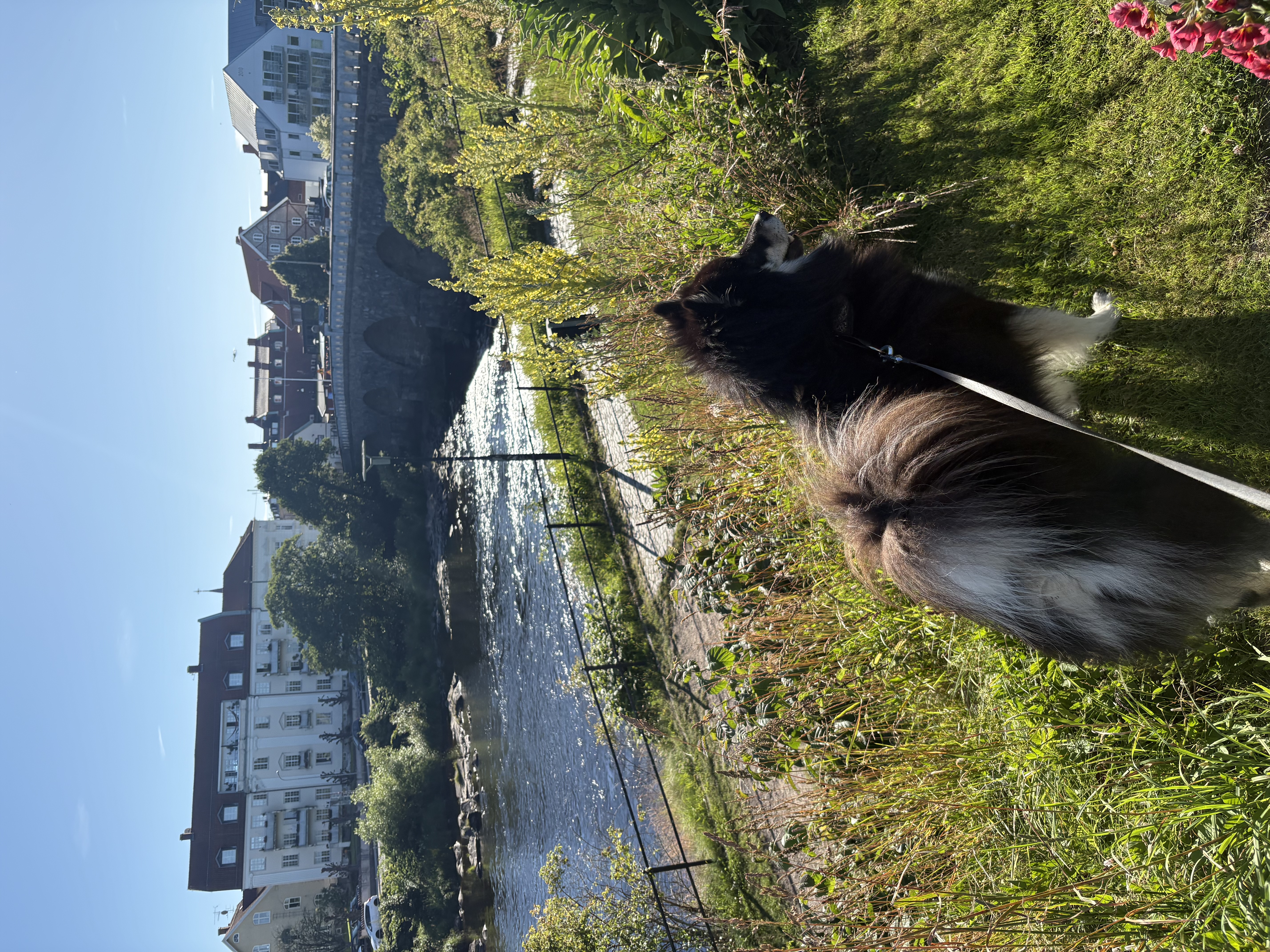 image-9