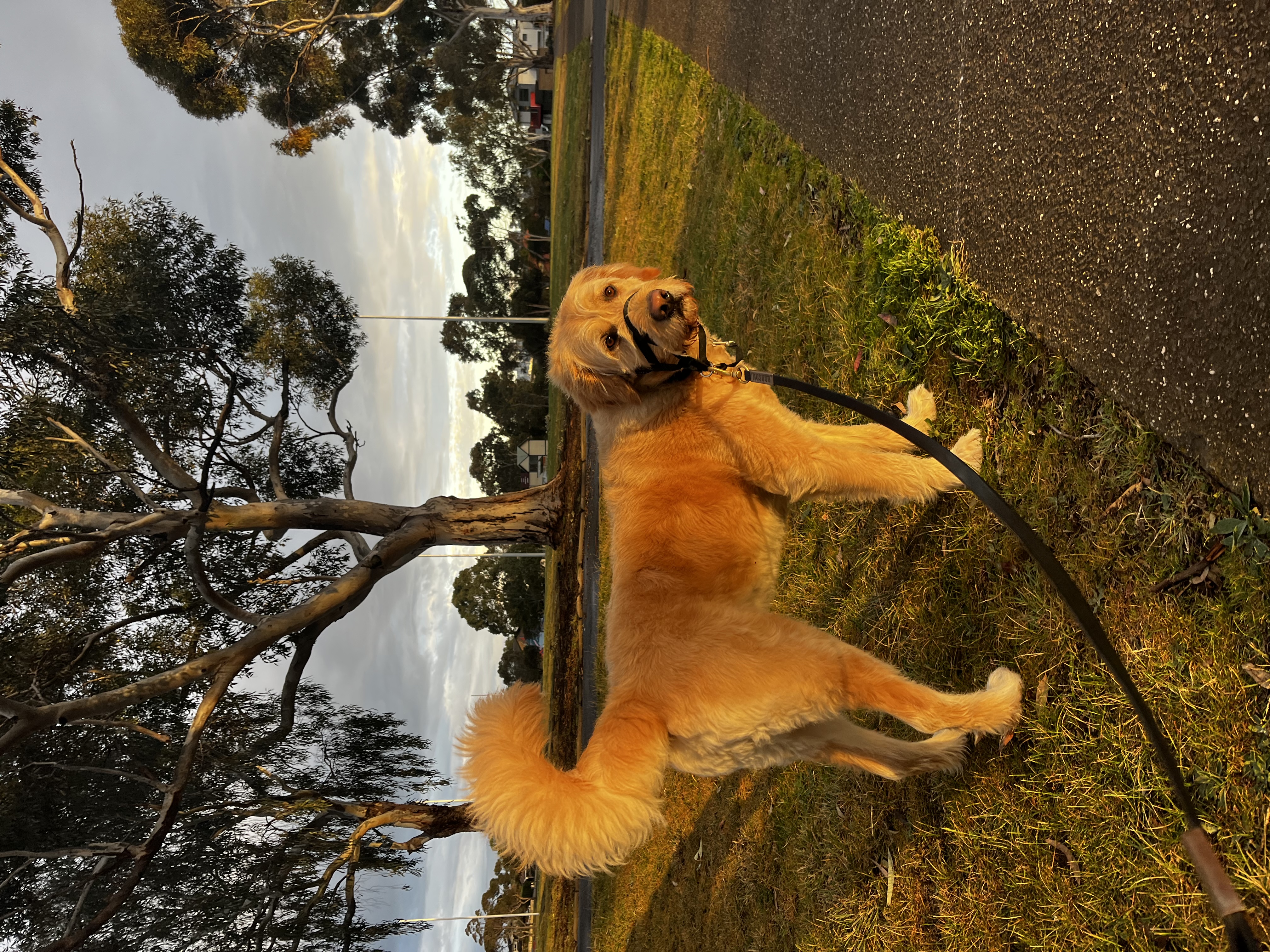 image-2