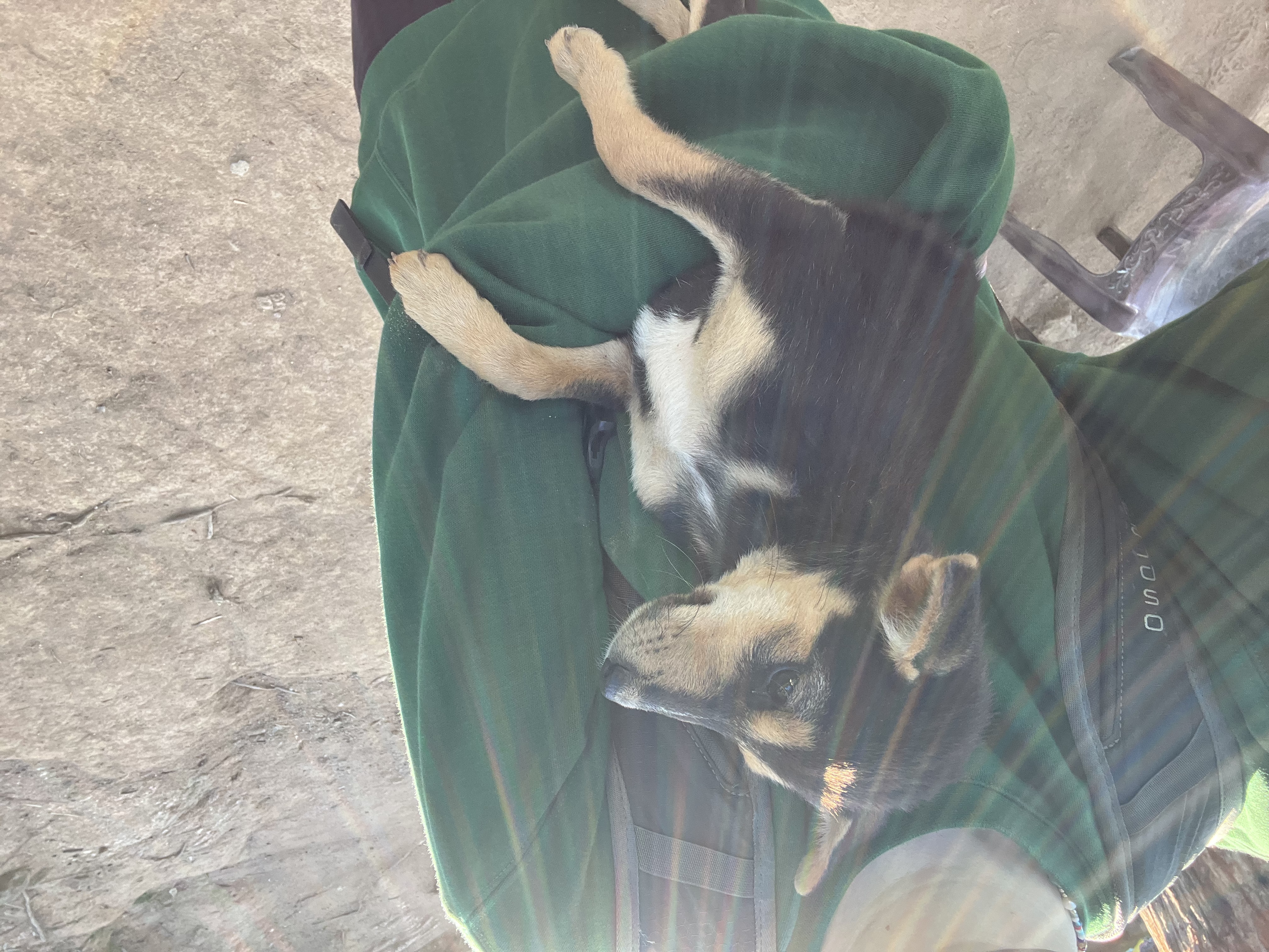image-5