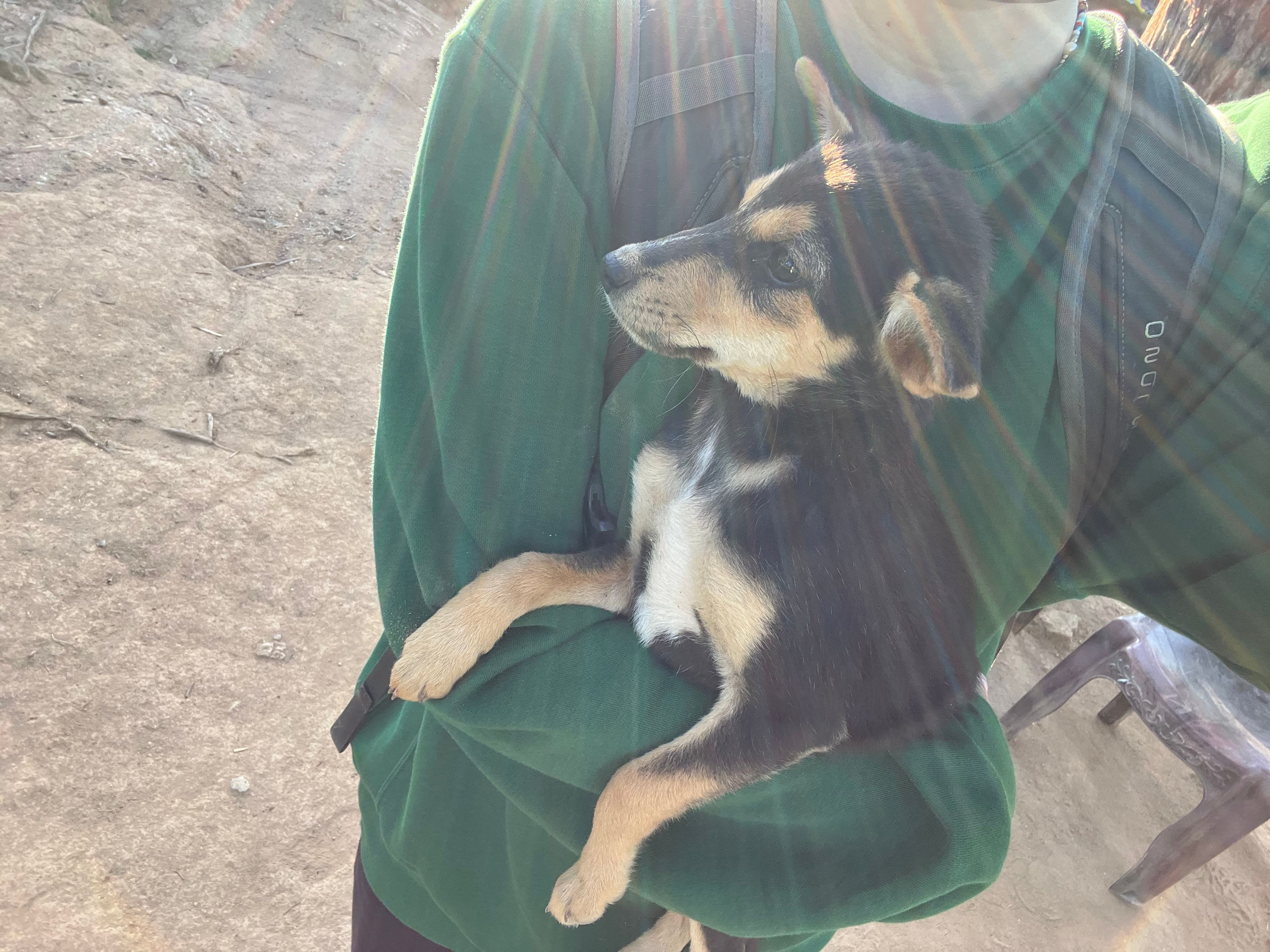 image-5