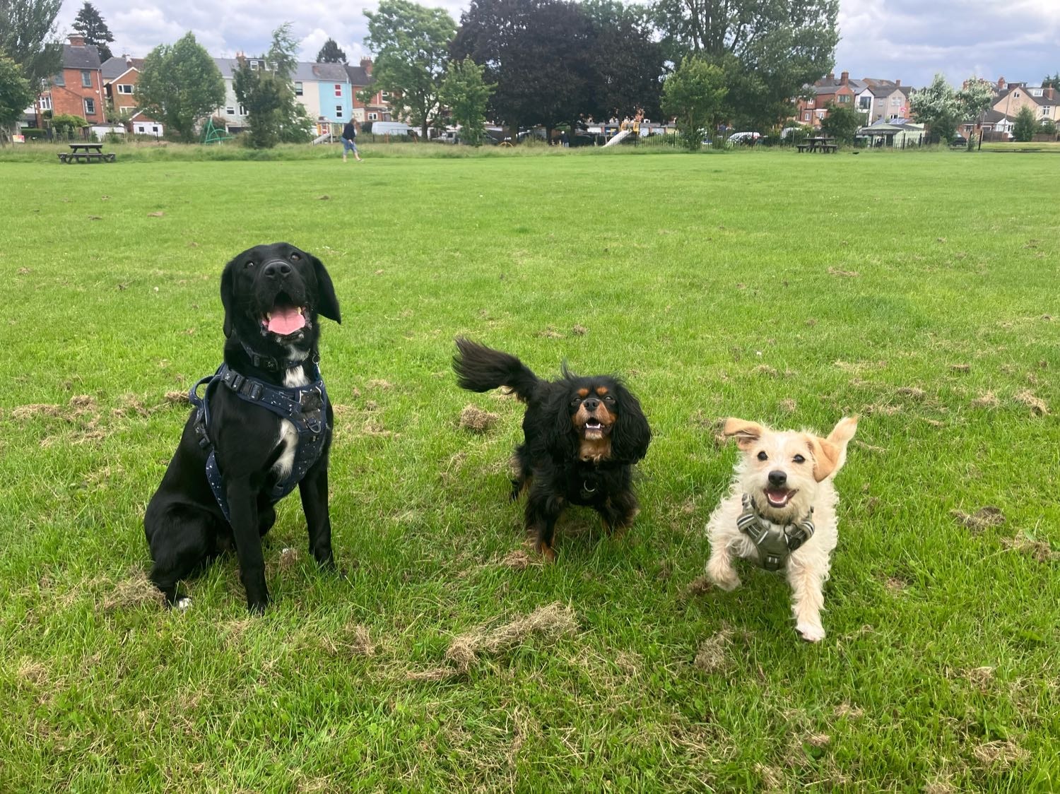 image-20
