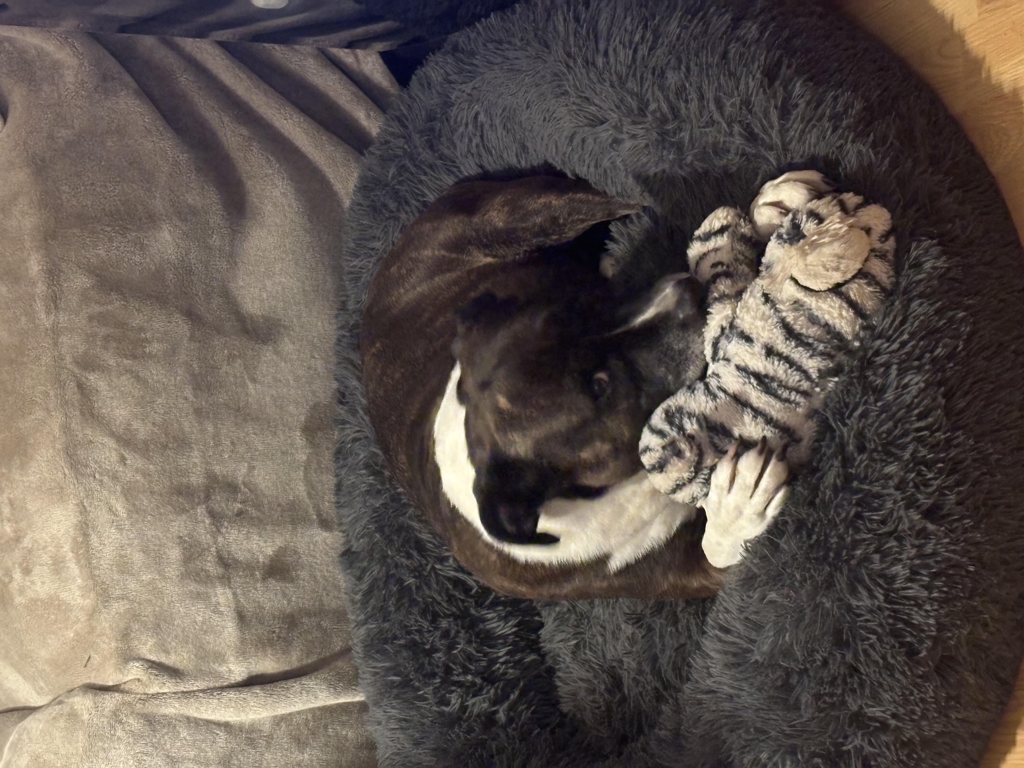 image-9