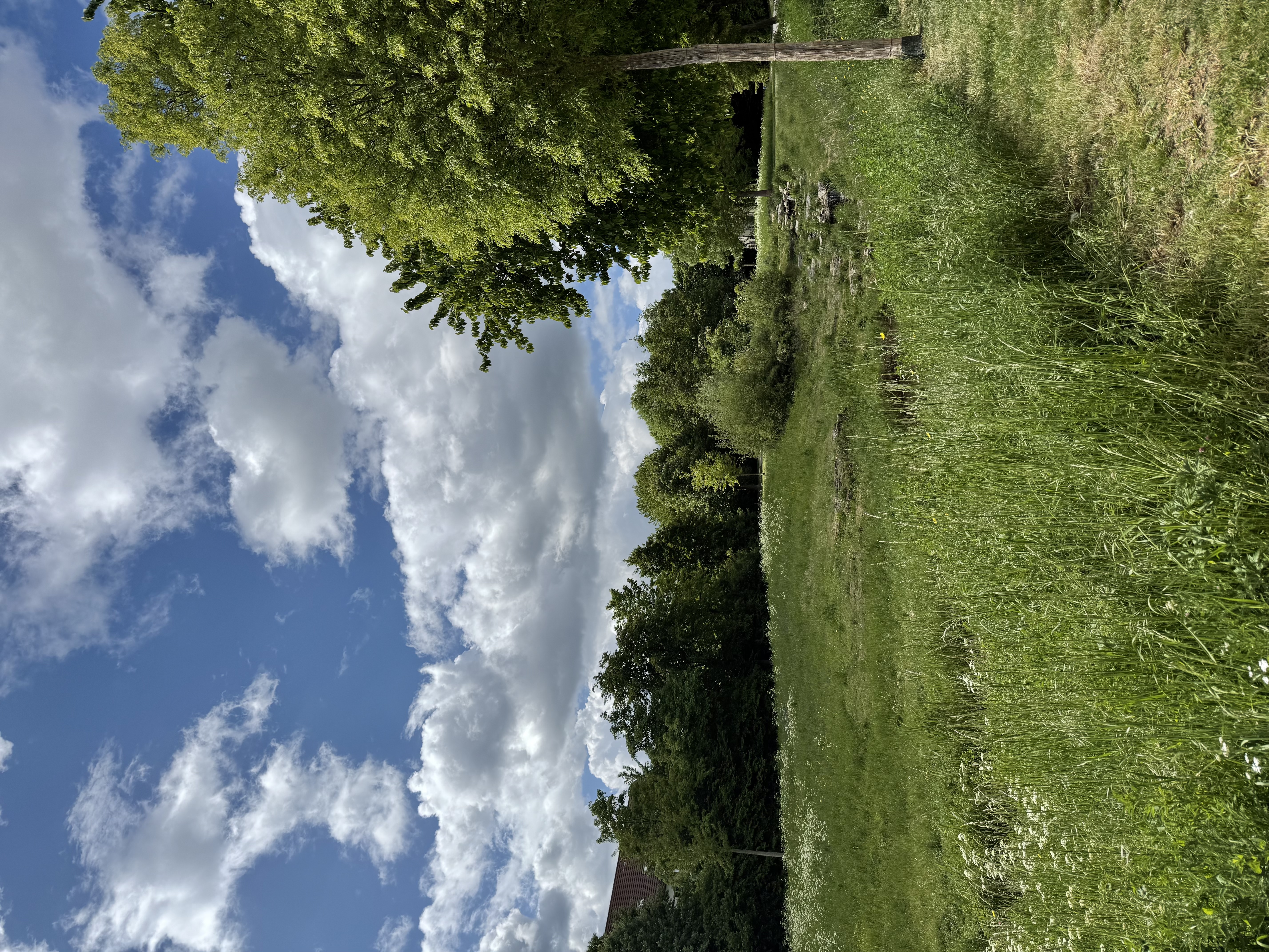 image-20