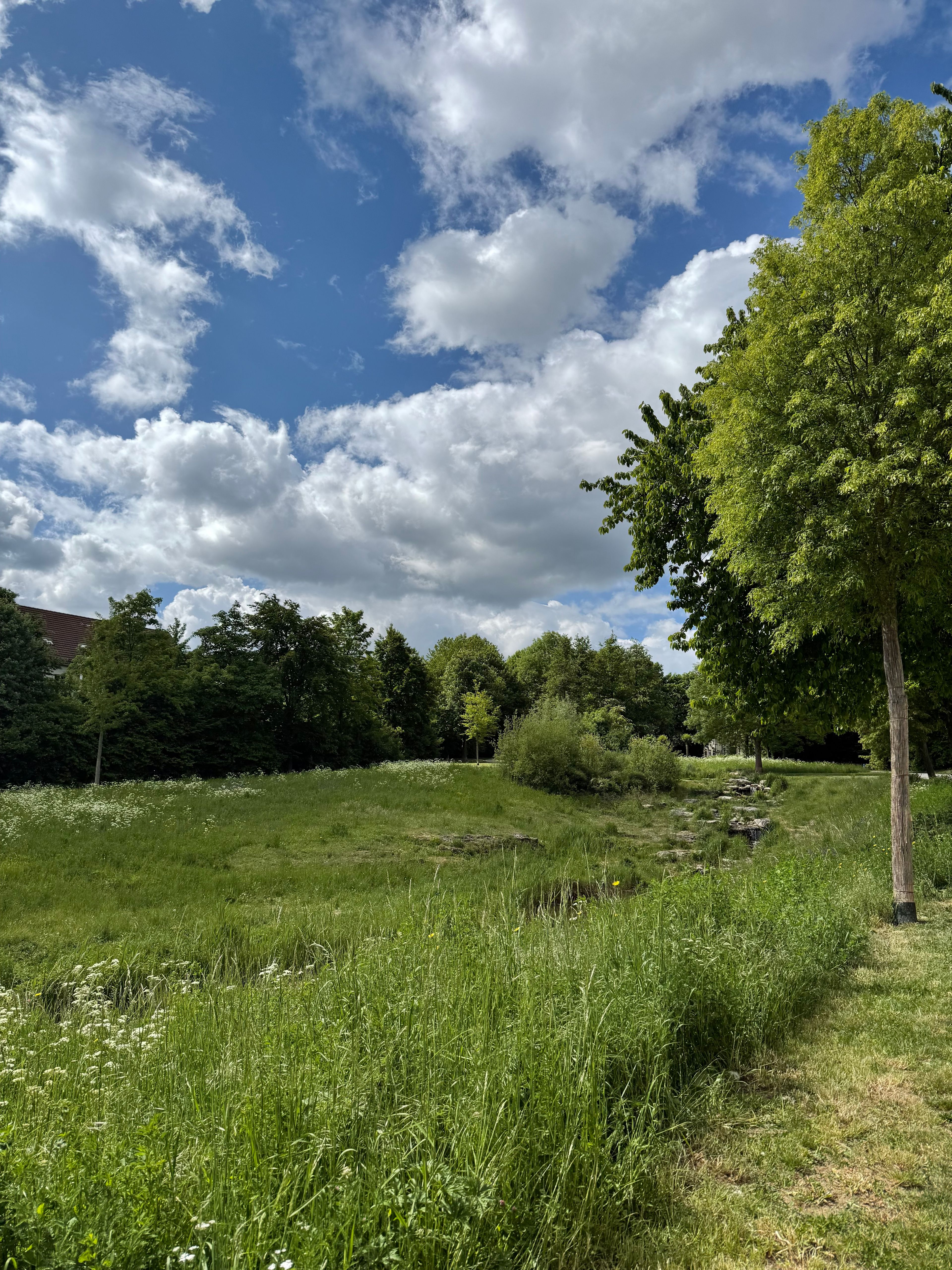 image-20