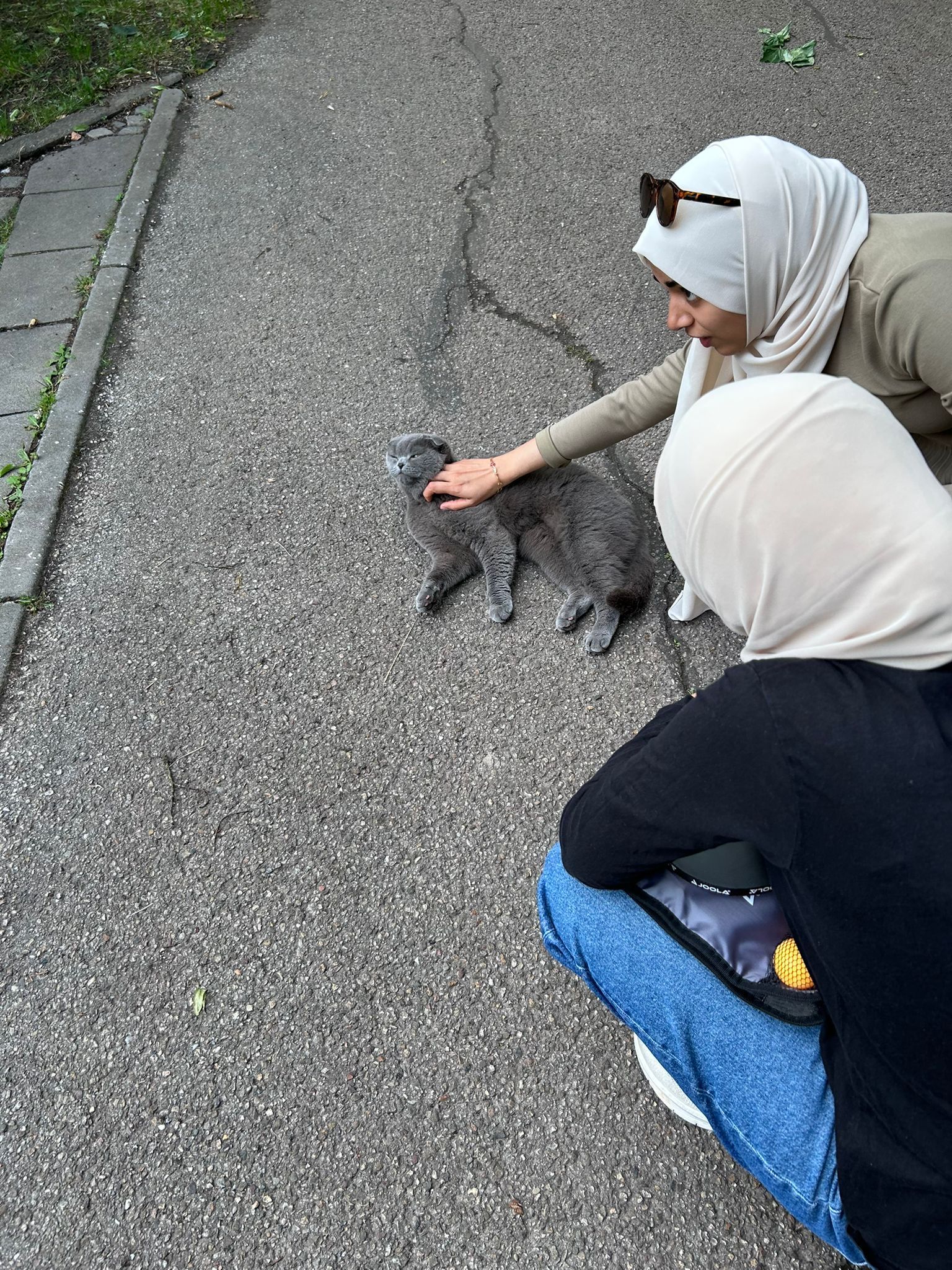 image-4