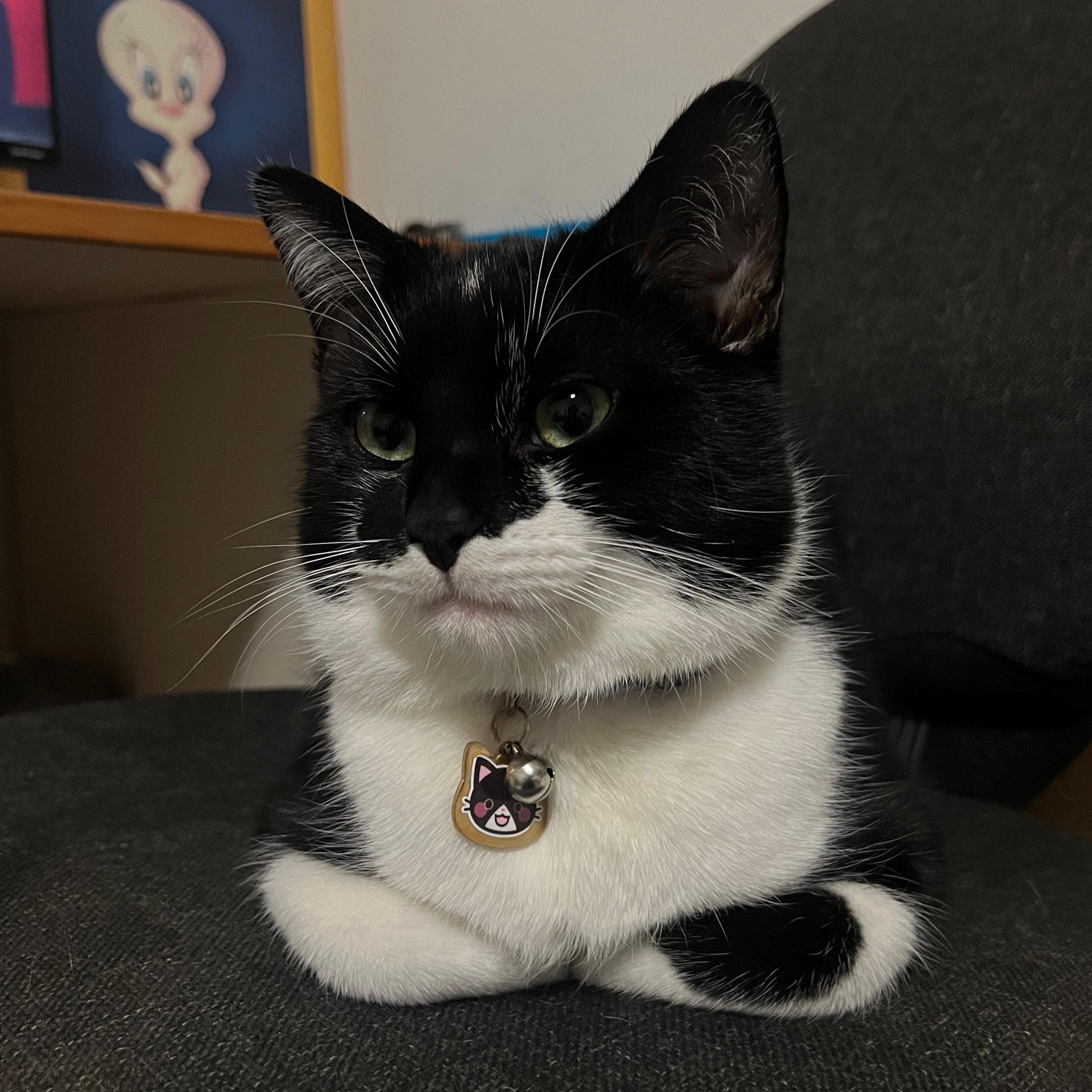 Oreo